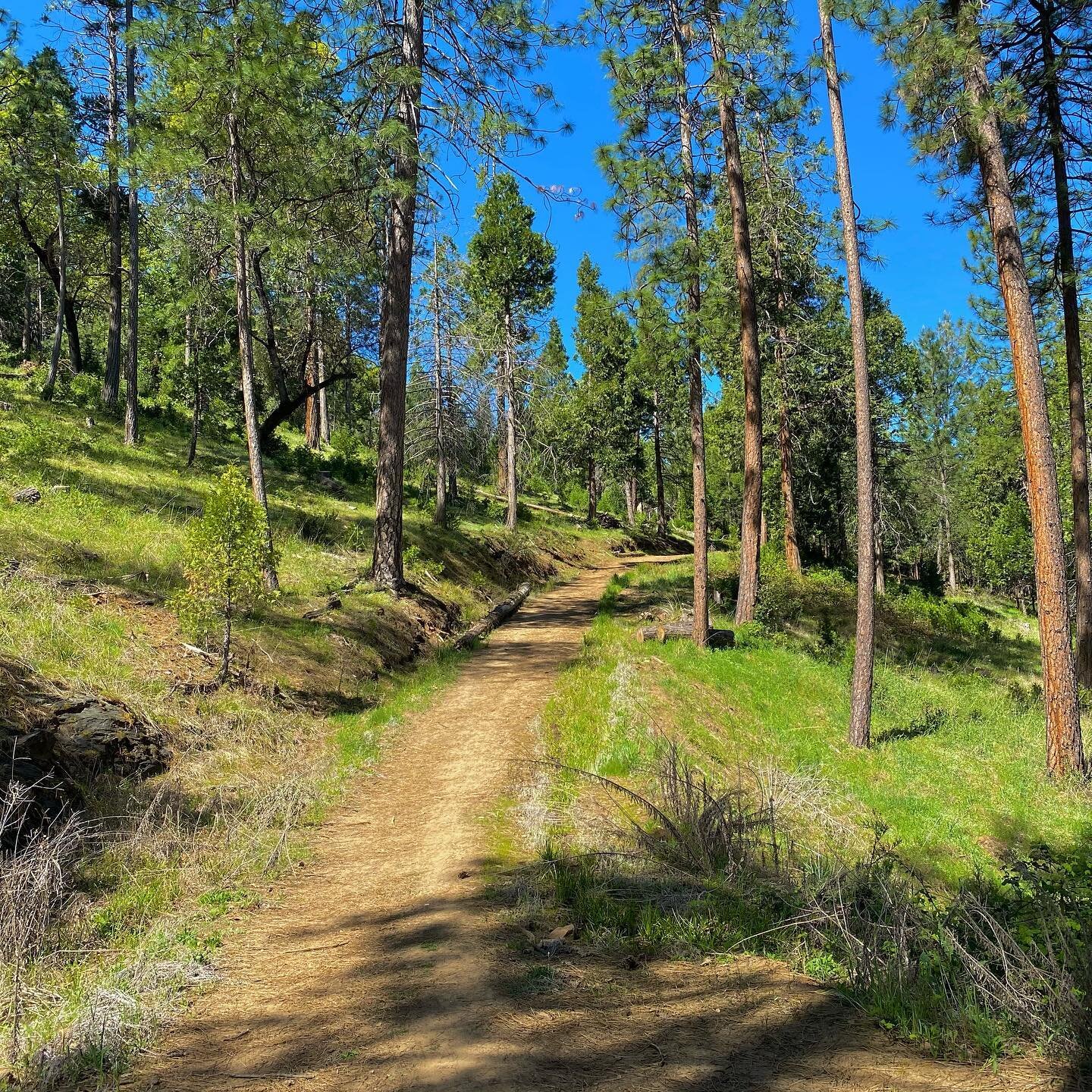 Off for another hiking adventure 🥾 . The weather is perfect and the view is second to none. I love getting out and breathing in fresh air. Anxious to find out what is around the next bend. 

#adventure #getoutside #pinemountain #outdoors #pinemounta