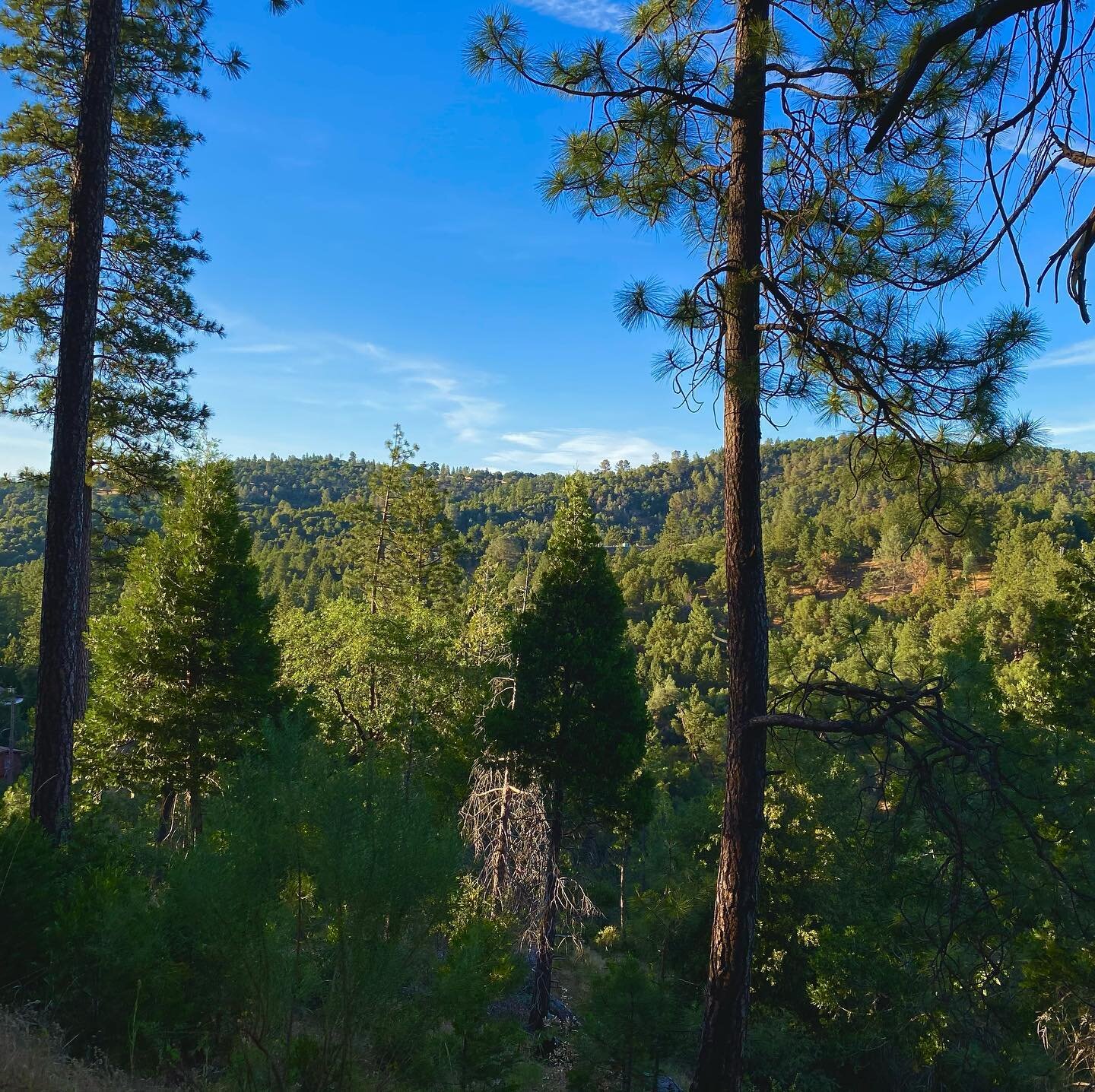 There isn&rsquo;t a better way to wipe stress away. Taking a hike with someone you love will do it every time! Breathe it in and take a look around. Beautiful!

#adventure #getoutside #pinemountain #outdoors #pinemountainlake #nature #openspace #brea