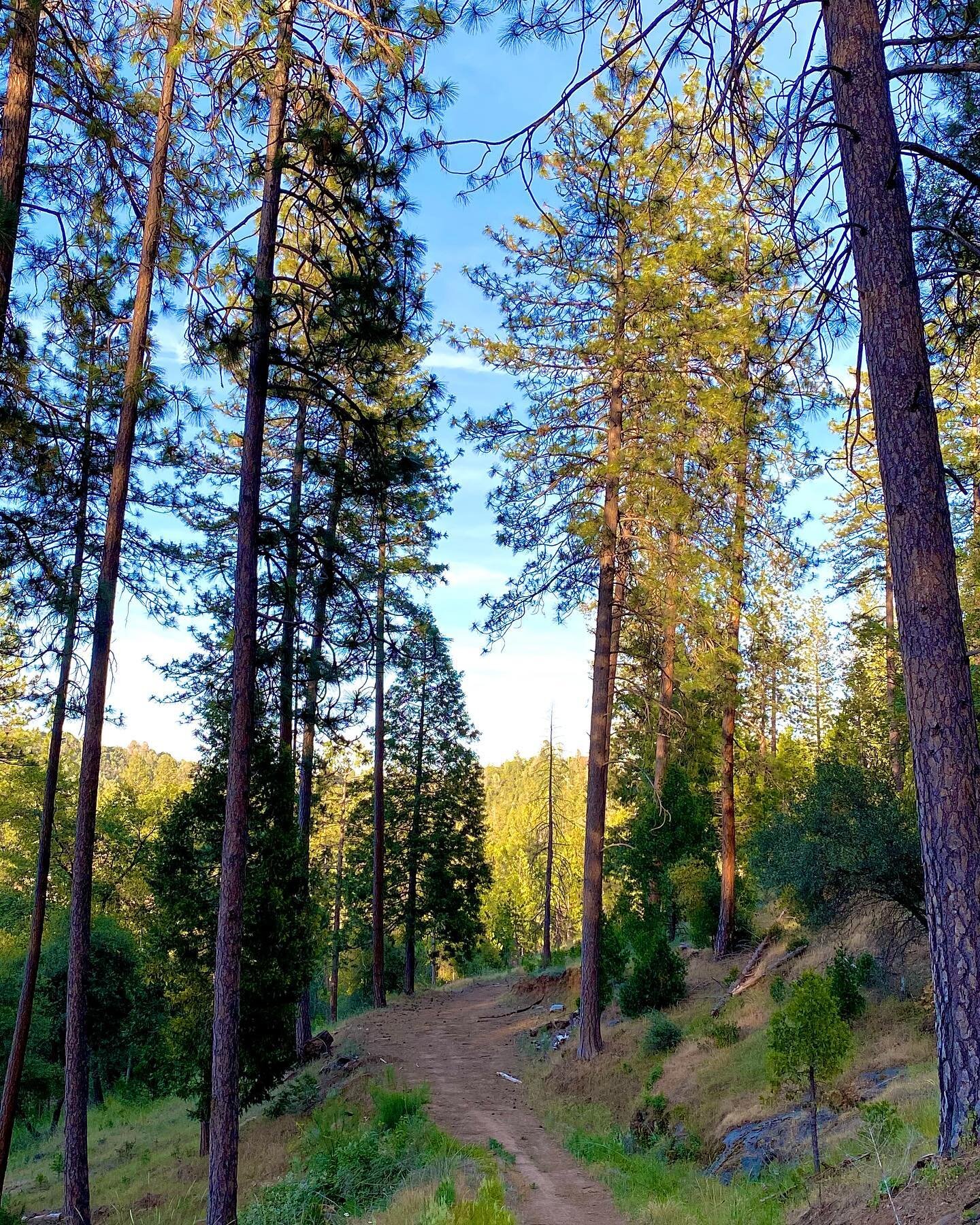 Off for an early evening hike. The weather is perfect and the view is second to none. I love getting out and breathing in the fresh air. On the trail, as in life, you ever know what is around the next bend. 

#adventure #getoutside #pinemountain #out