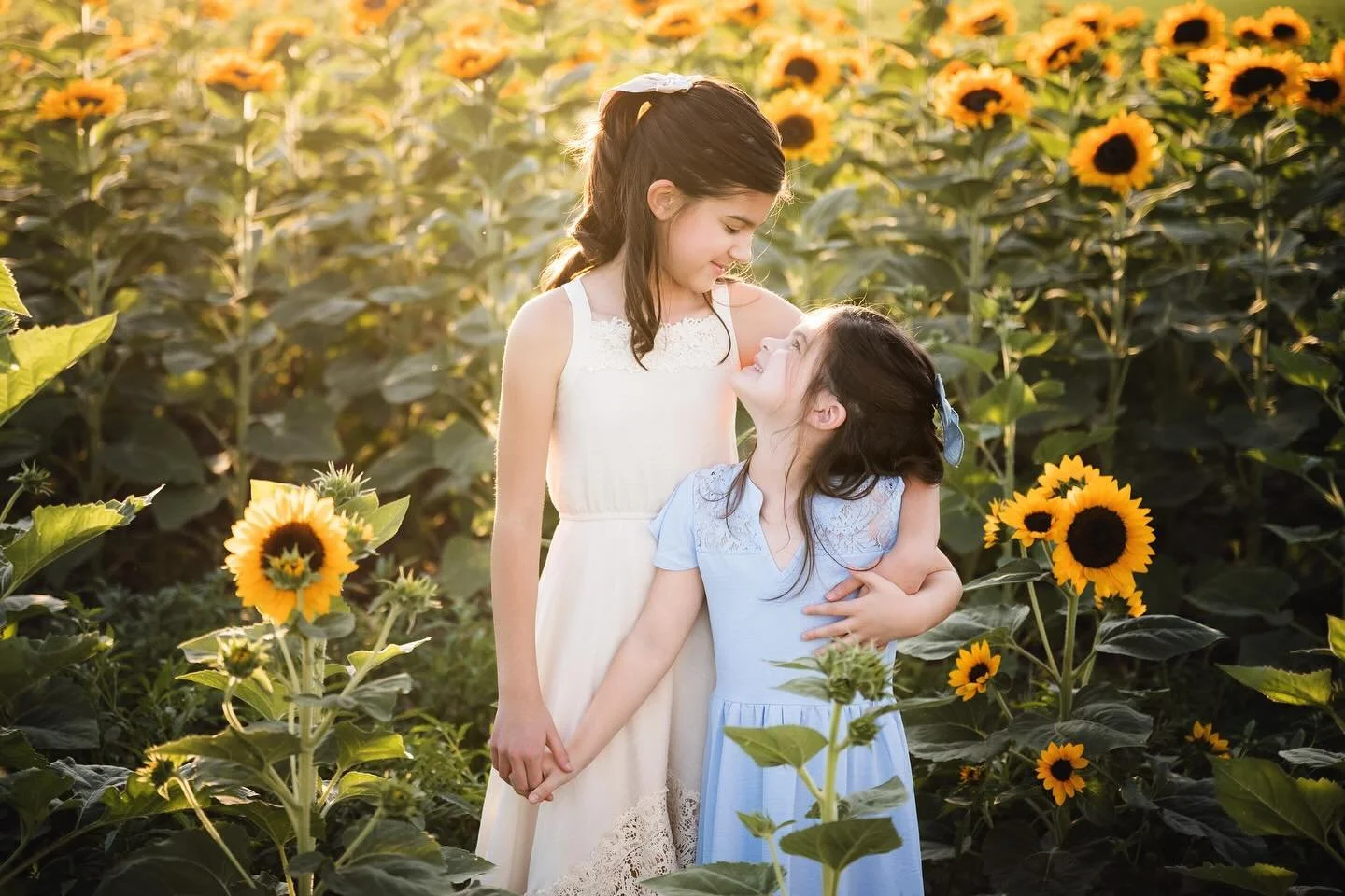 🌻 Sunflower Mini Sessions 🌻

✨ Once a year only ✨

The desert will be blooming and it&rsquo;s your chance to capture magic in the golden sunflower fields. These limited sessions are dreamy, unique, and the perfect way to welcome fall 🍂

📸 Spots a