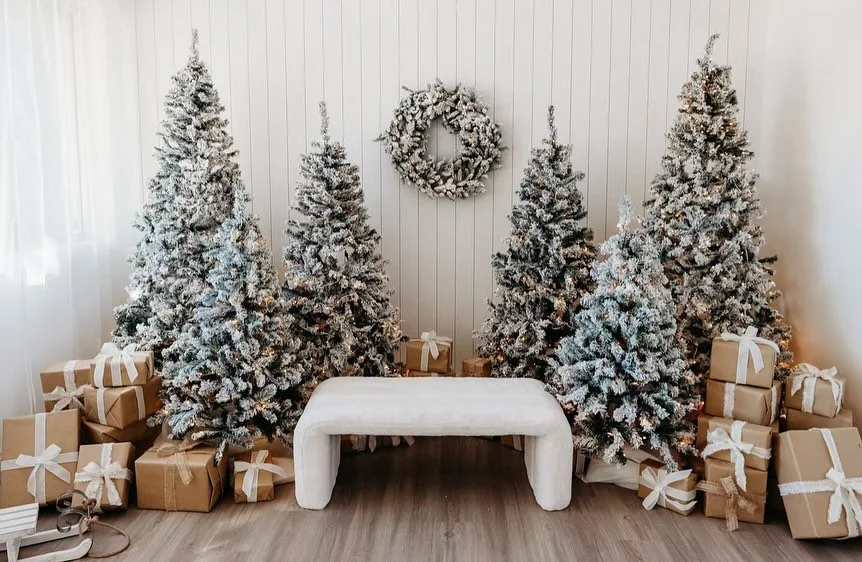 🌲Christmas in the Pines Mini Sessions are Here!

✨Celebrate the season with my Christmas in the Pines Mini Sessions! 

These 15-minute sessions are the perfect way to capture the warmth and wonder of the holidays among a beautiful pine backdrop.

Co