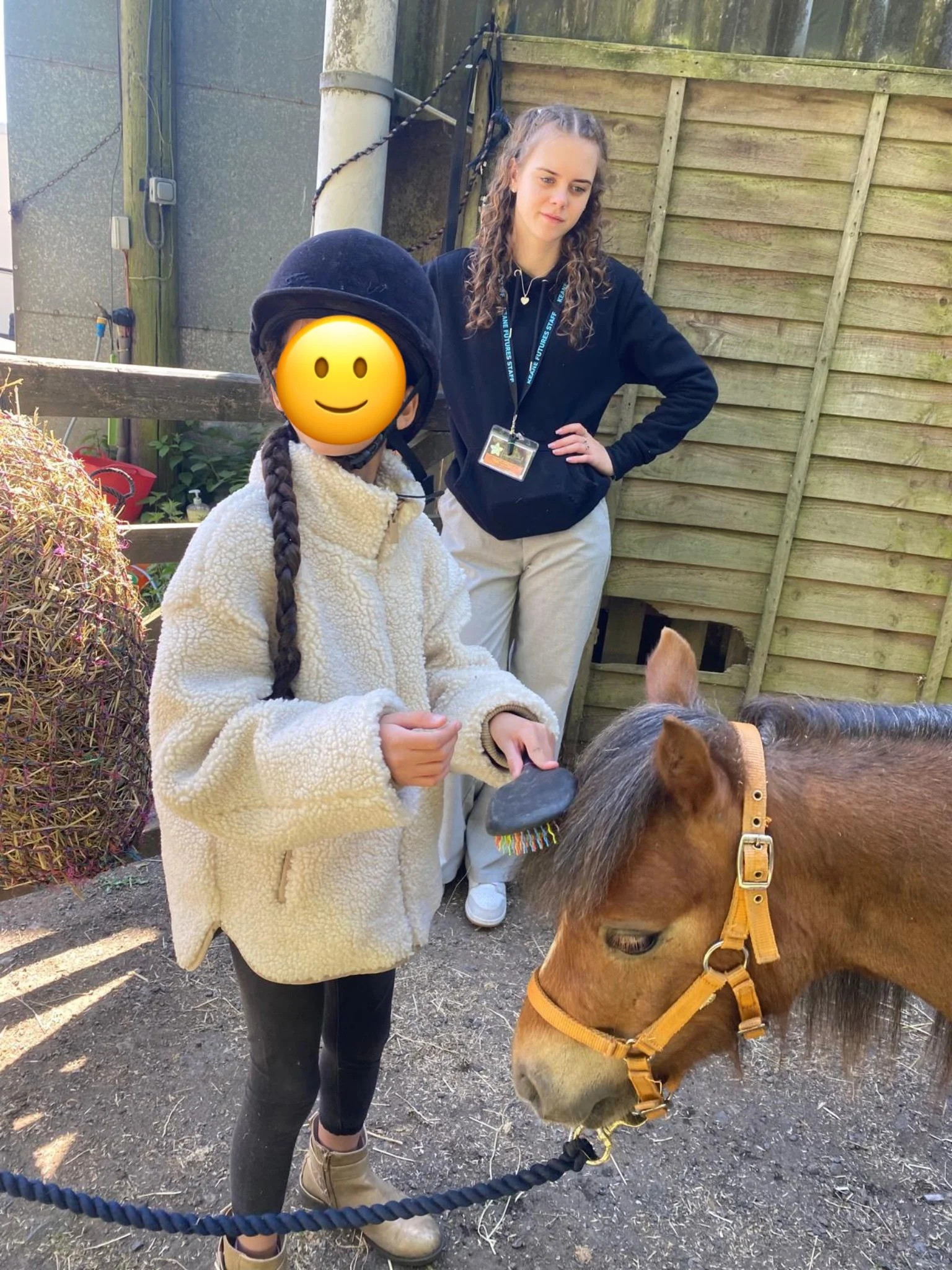 Brushing the pony's mane