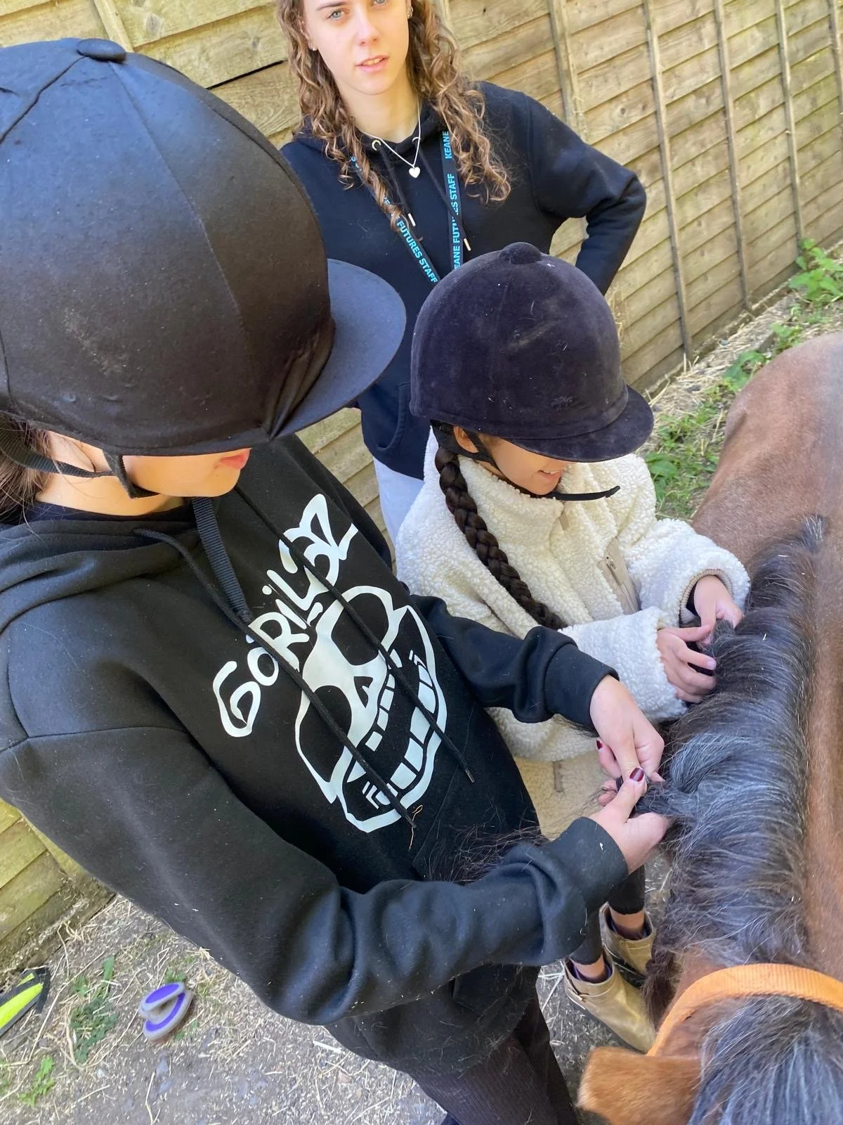 Braiding manes