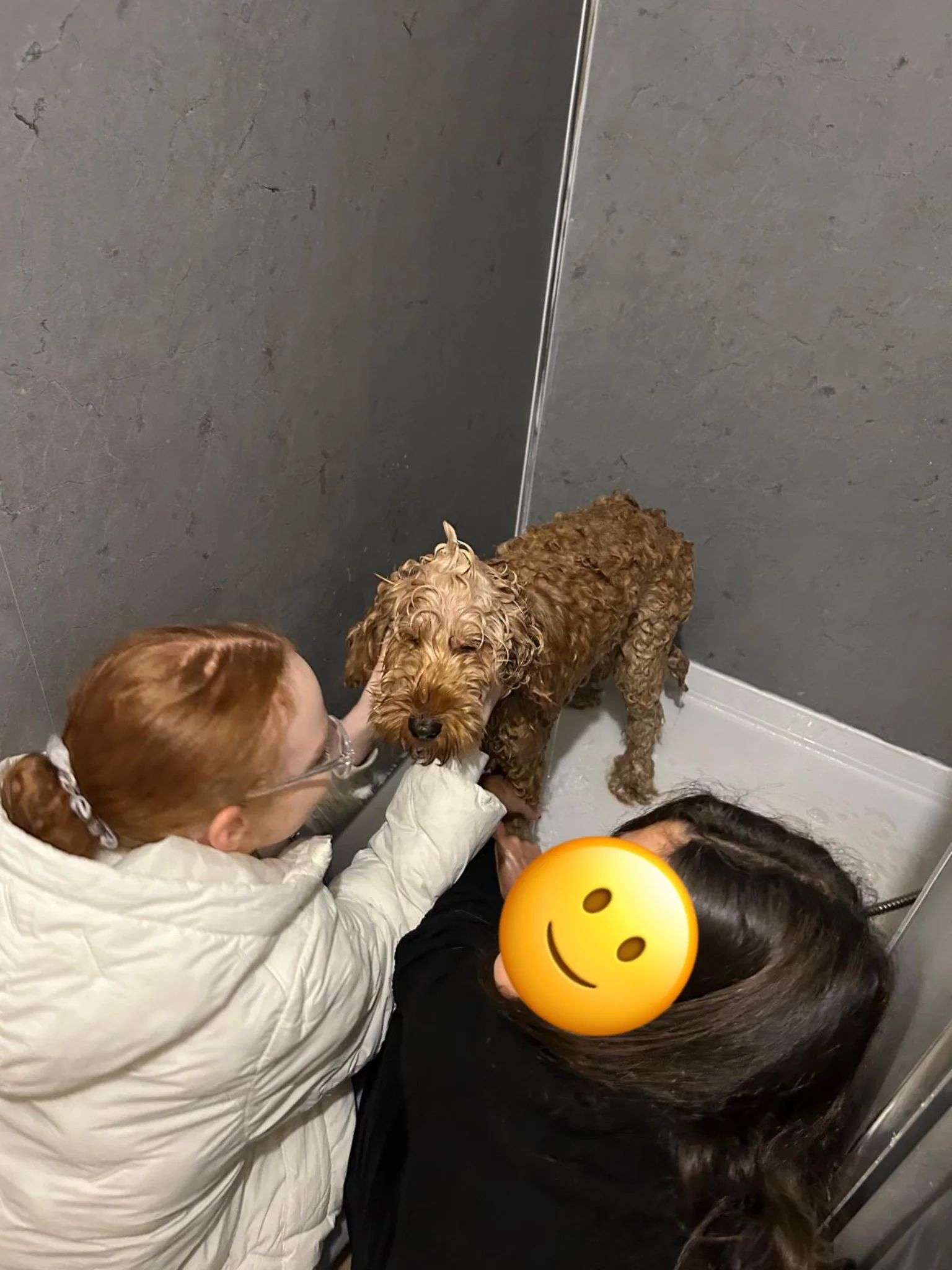 Giving Teddy the dog a shower