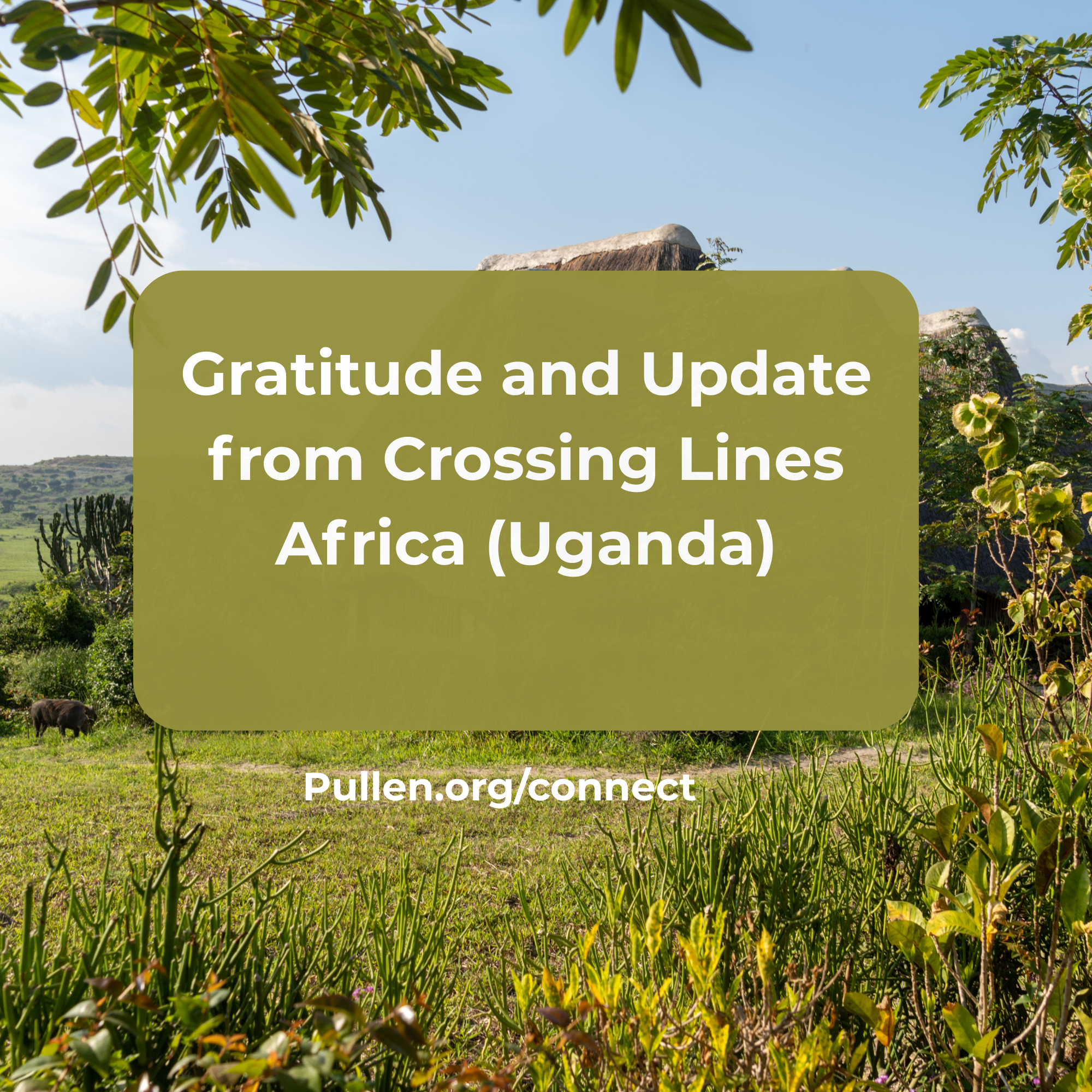 Gratitude and Update from Crossing Lines Africa (Uganda)