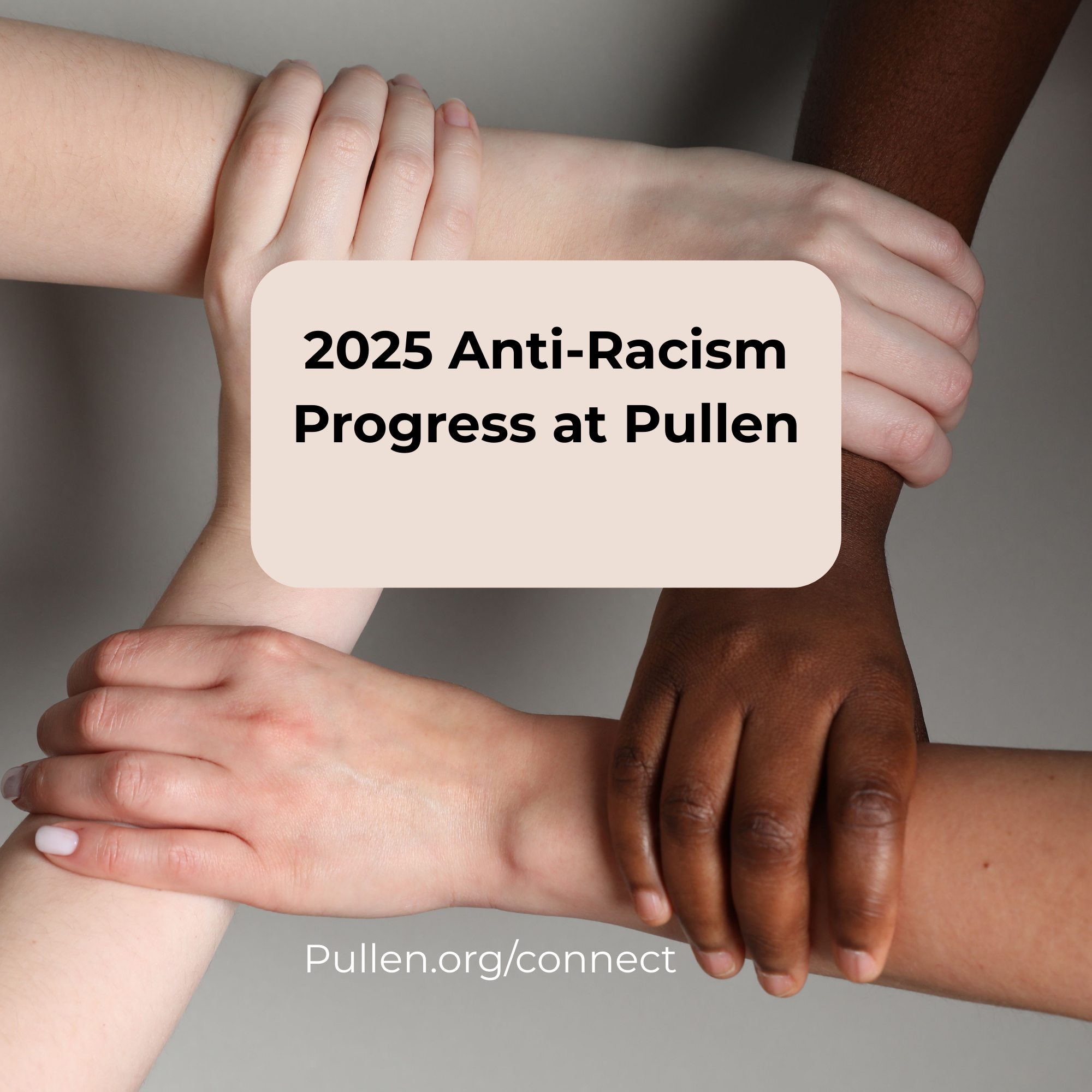 2025&nbsp;Anti-Racism&nbsp;Progress at Pullen