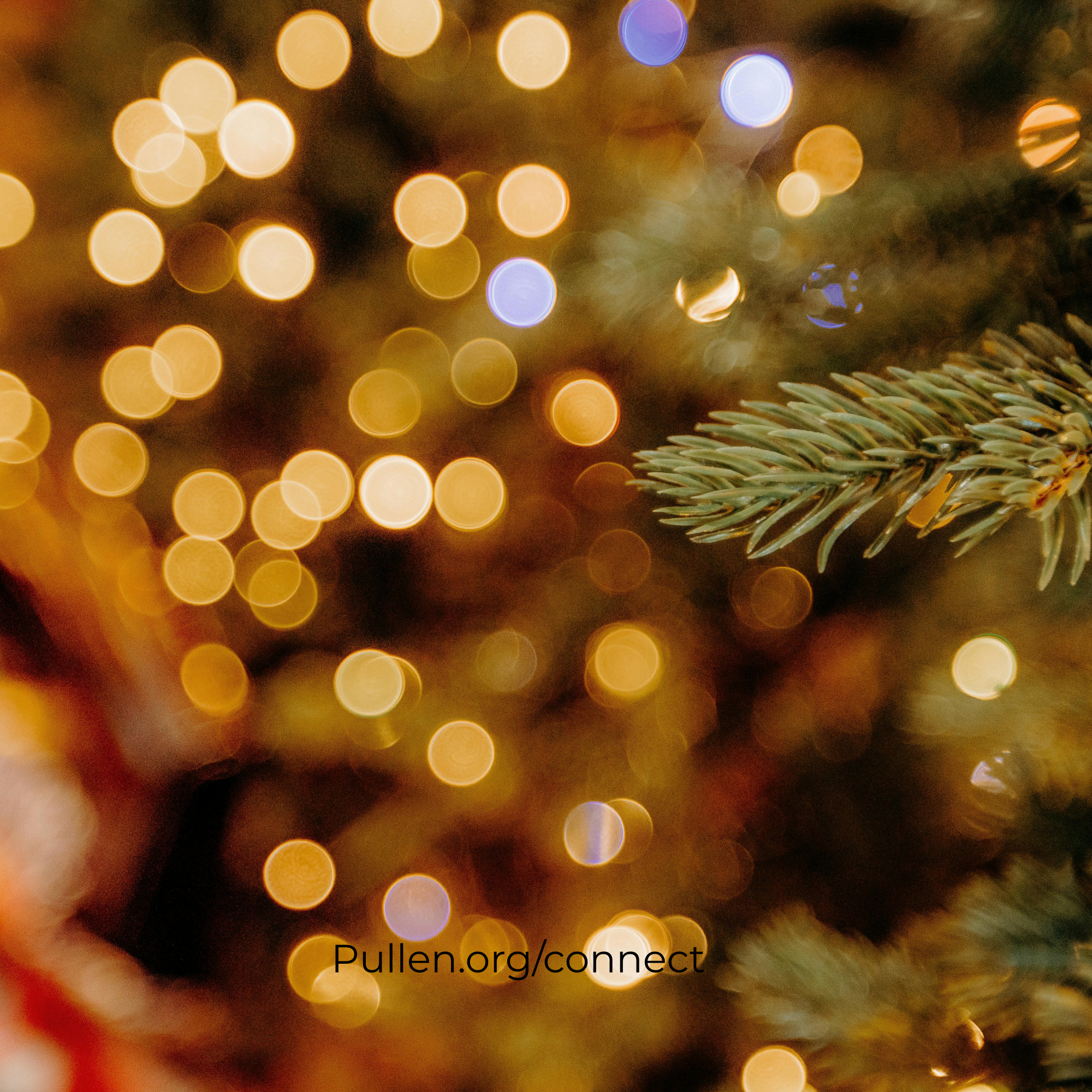 A New Christmas Tradition