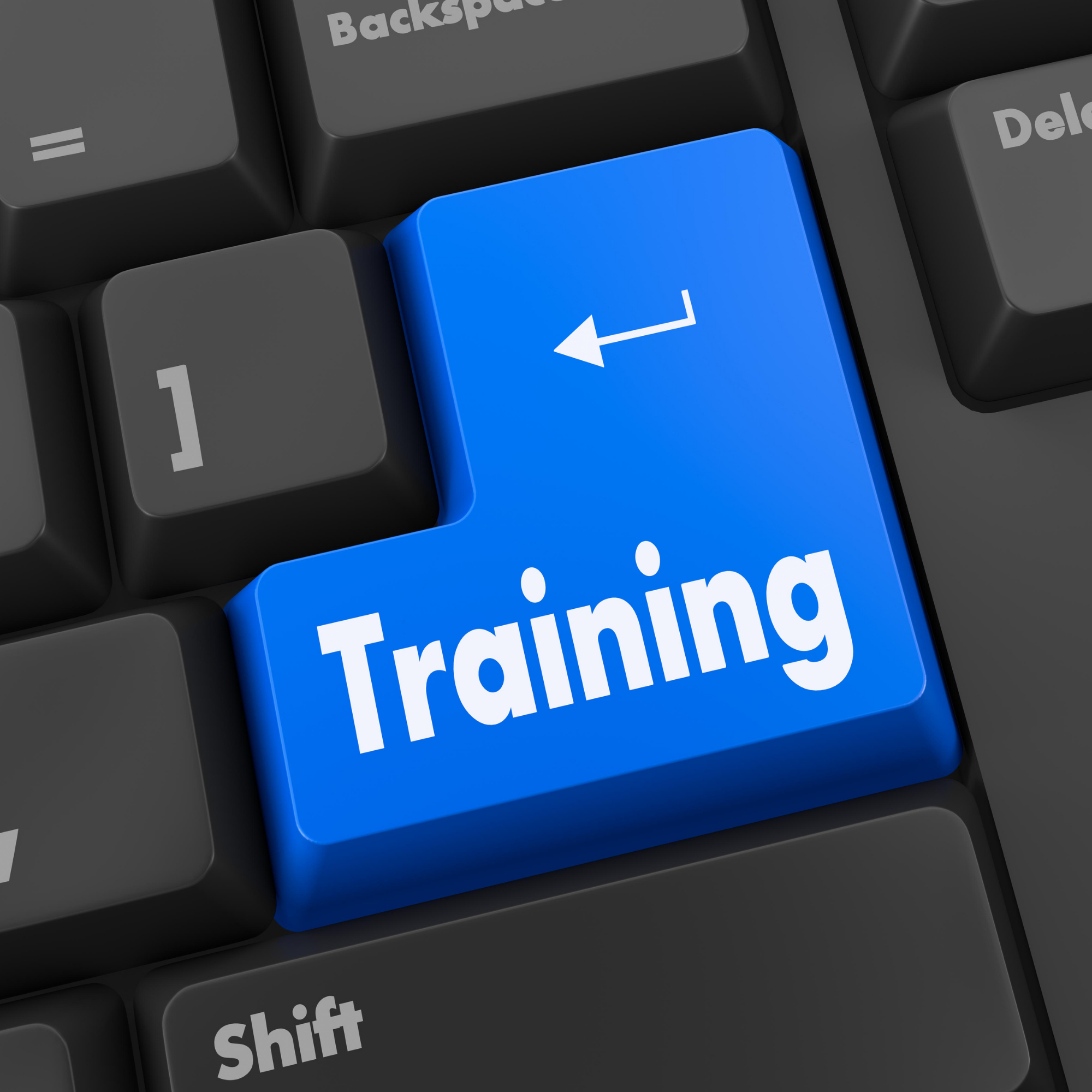 Data Input Training Session 