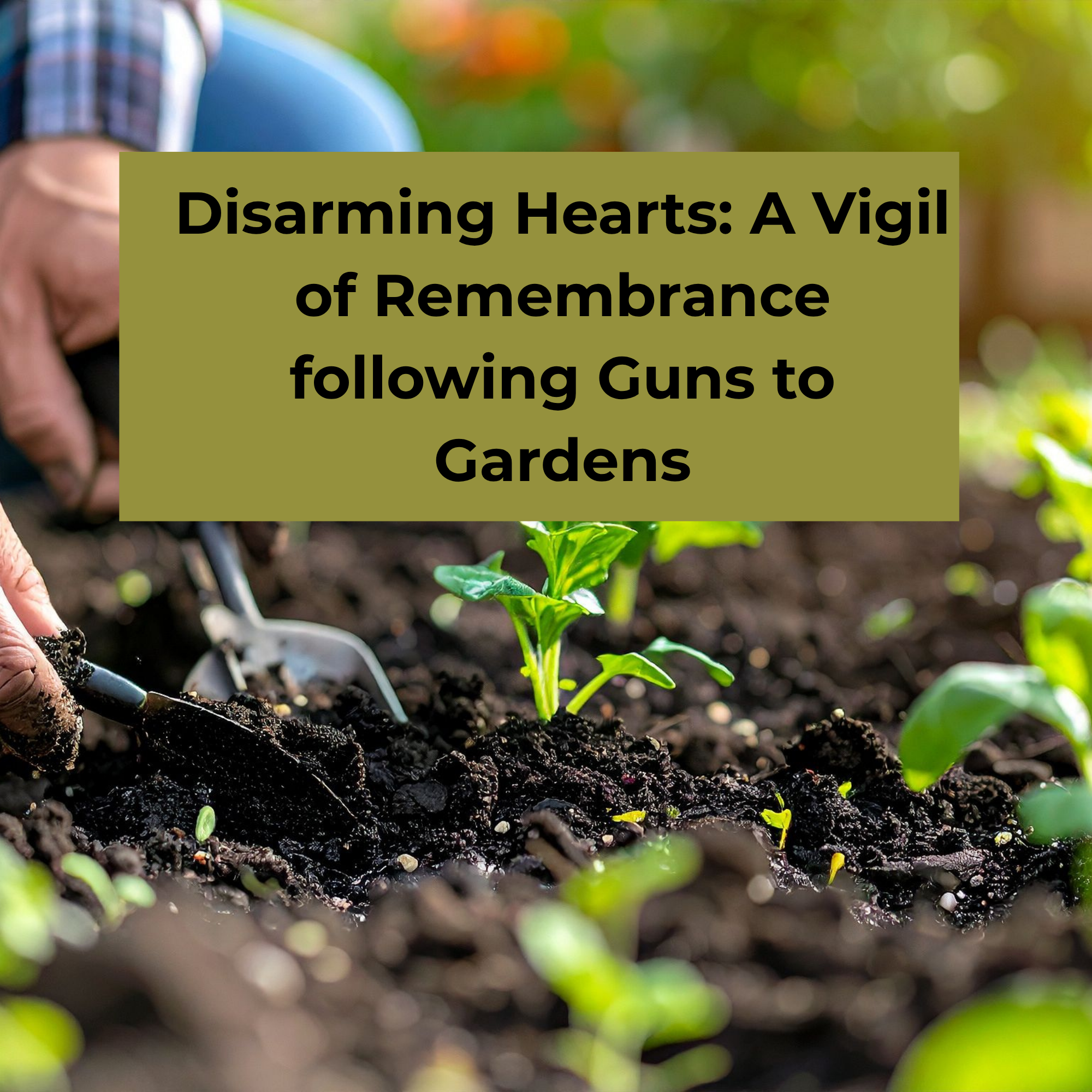 Disarming Hearts: A Vigil of Remembrance following Guns to Gardens