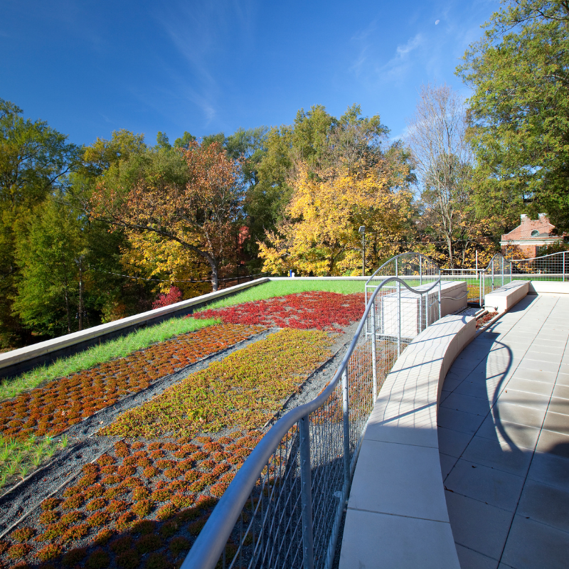 A Secret Under Pullen's Pavers