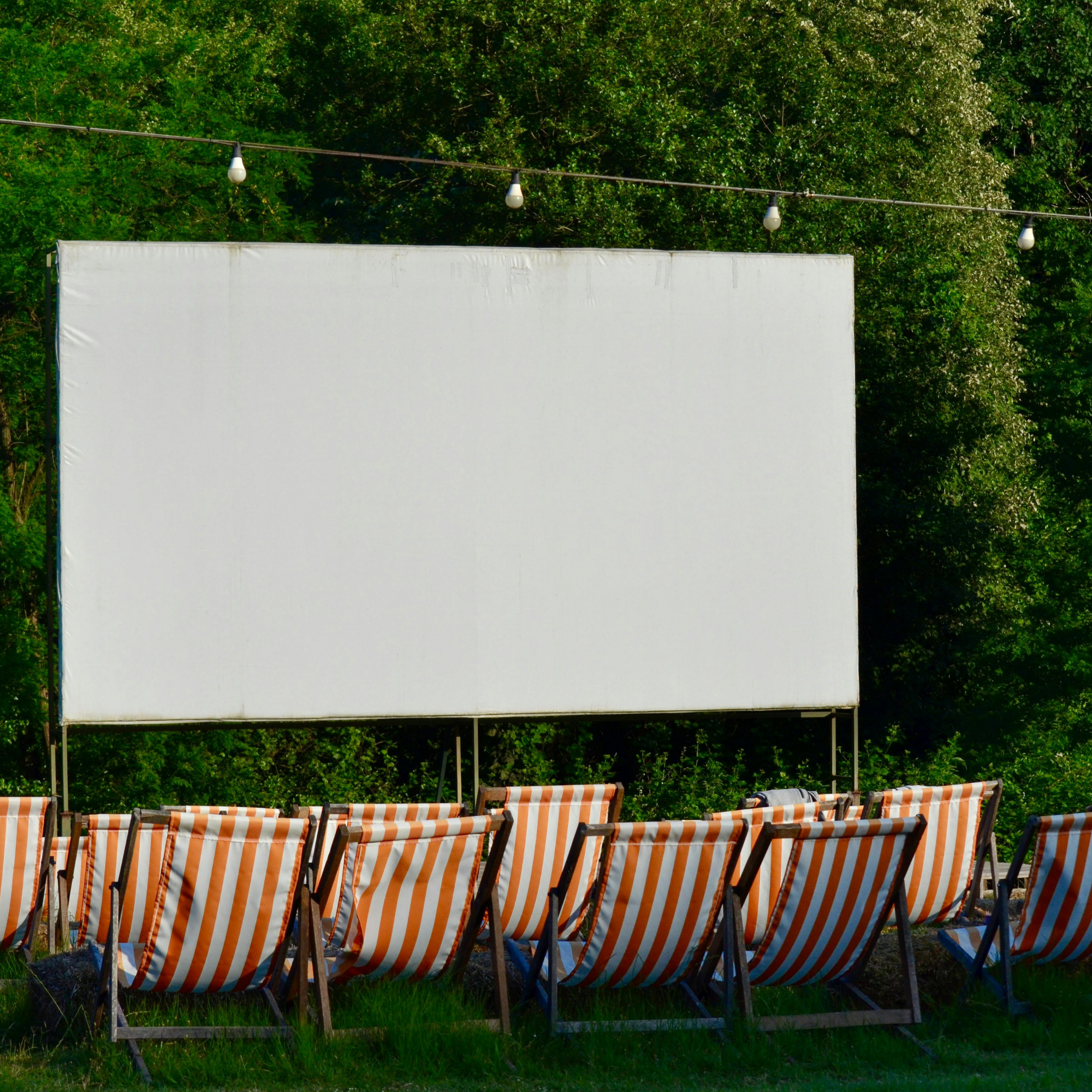 Showing of Selma