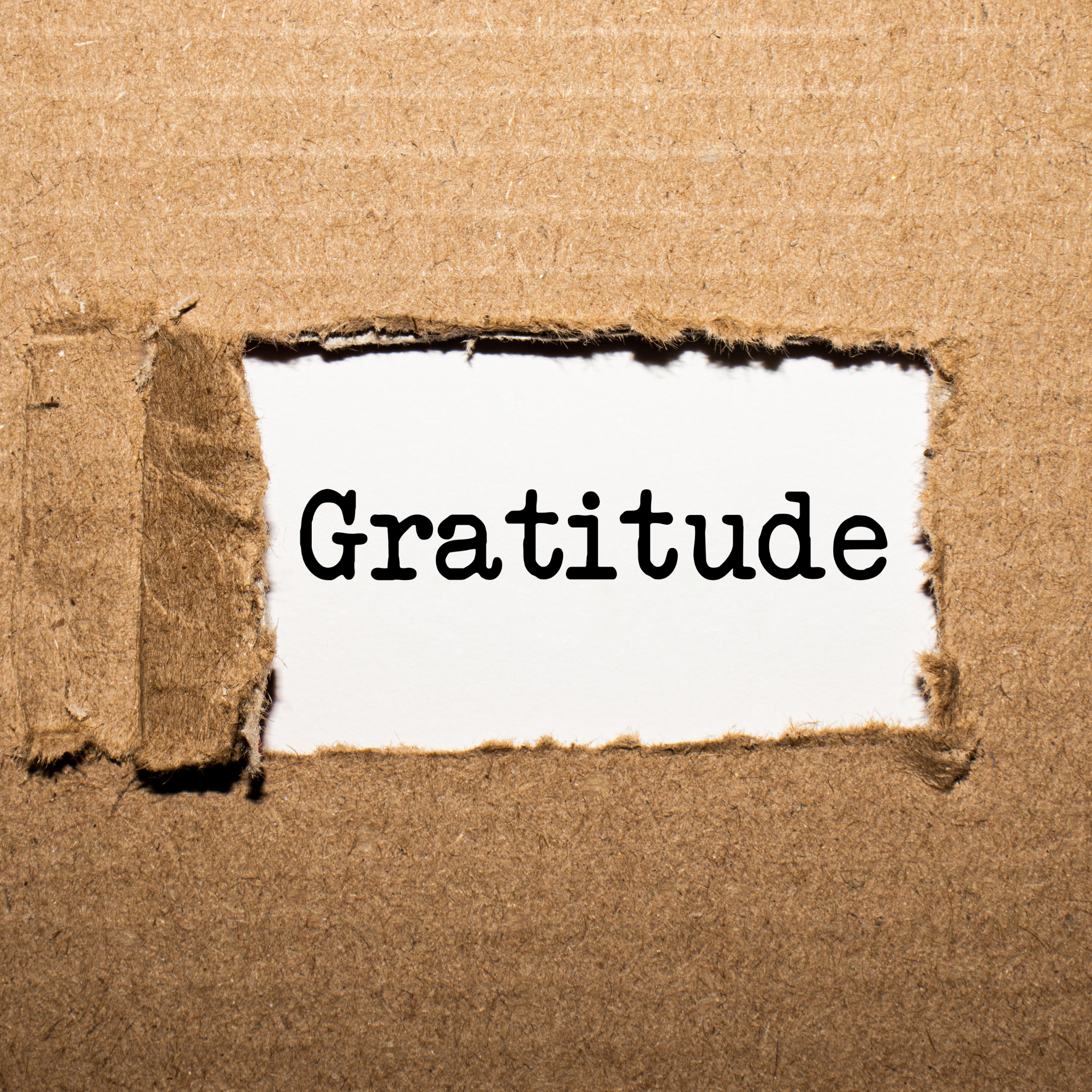 Gratitude Corner