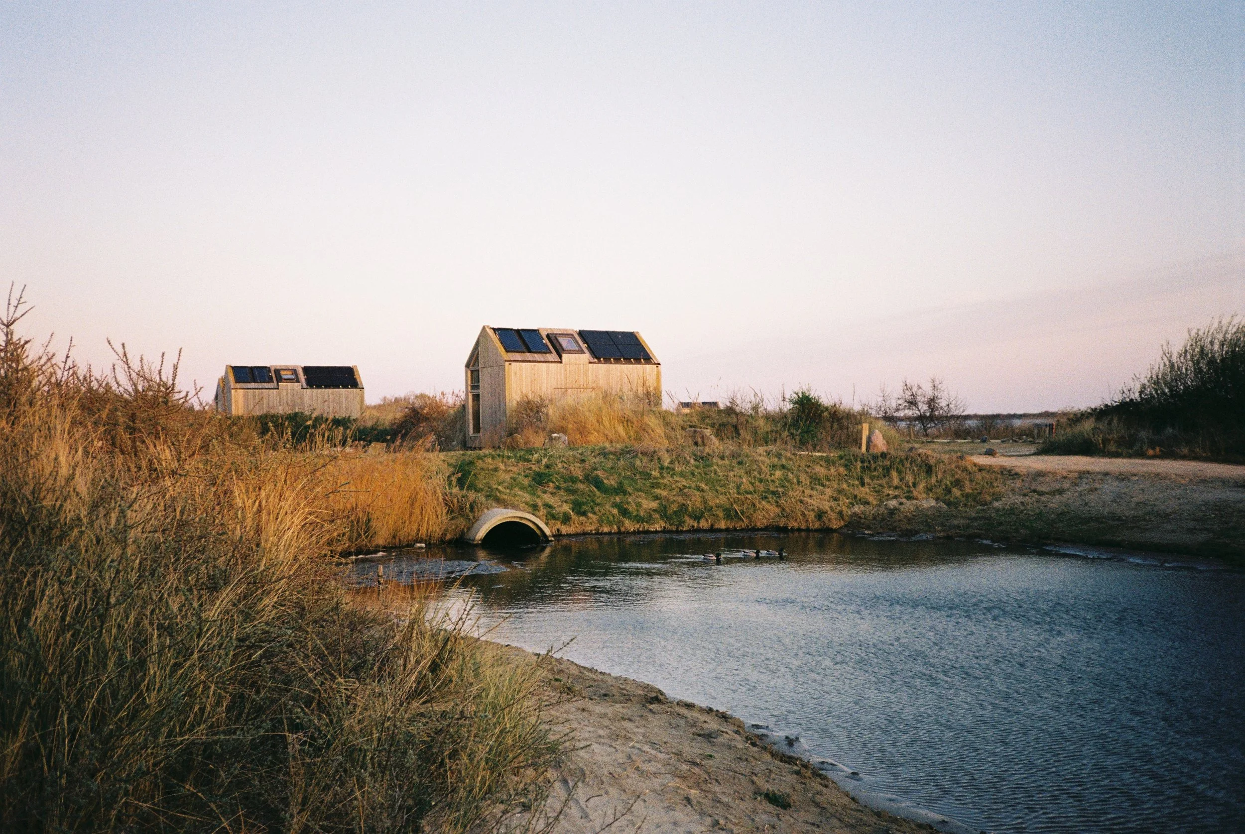 Analoge Aufnahme mit der Yashica T4 auf Kodak Gold 200 während eines Familienurlaubs in Zeeland, Holland – entwickelt und gescannt von Optik Oldschool aus Düsseldorf.