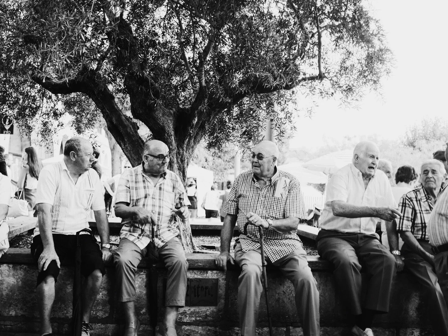Sineu | Mallorca | 2023
A few men. An olive tree.
Just enjoying life.

These are the moments I look for.

#mallorca #sineu #leica