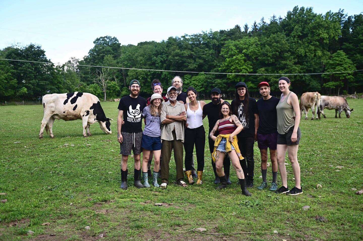 Another successful trip to @lakshmicowanimalsanctuary! A group of us spent the last couple days working on projects around the farm and spending time with the beautiful cows. Lakshmi is really a home away from home. We can&rsquo;t wait until next yea