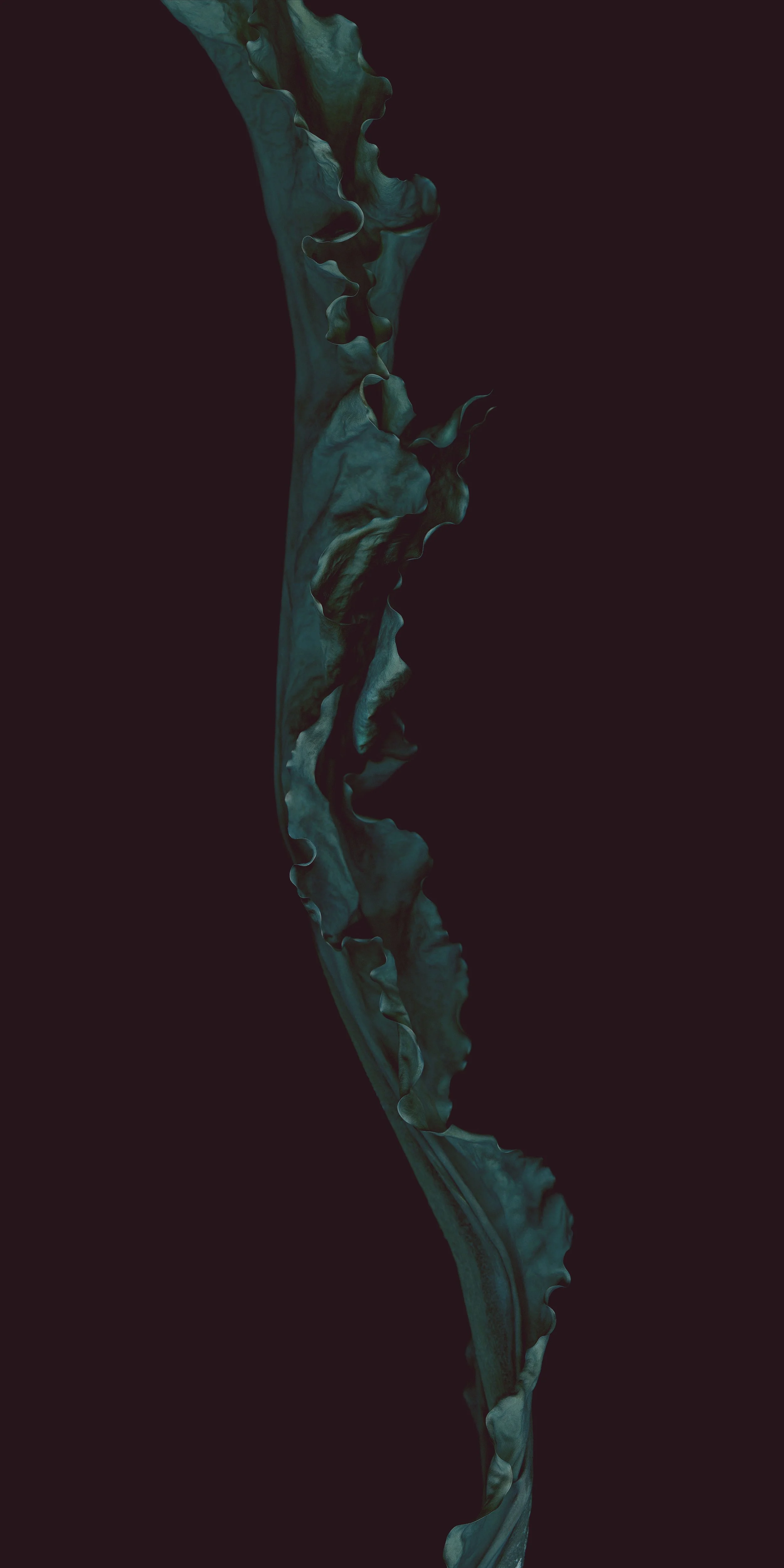 Saccharina Latissima, médium mixte, 54" x 108", 2021.