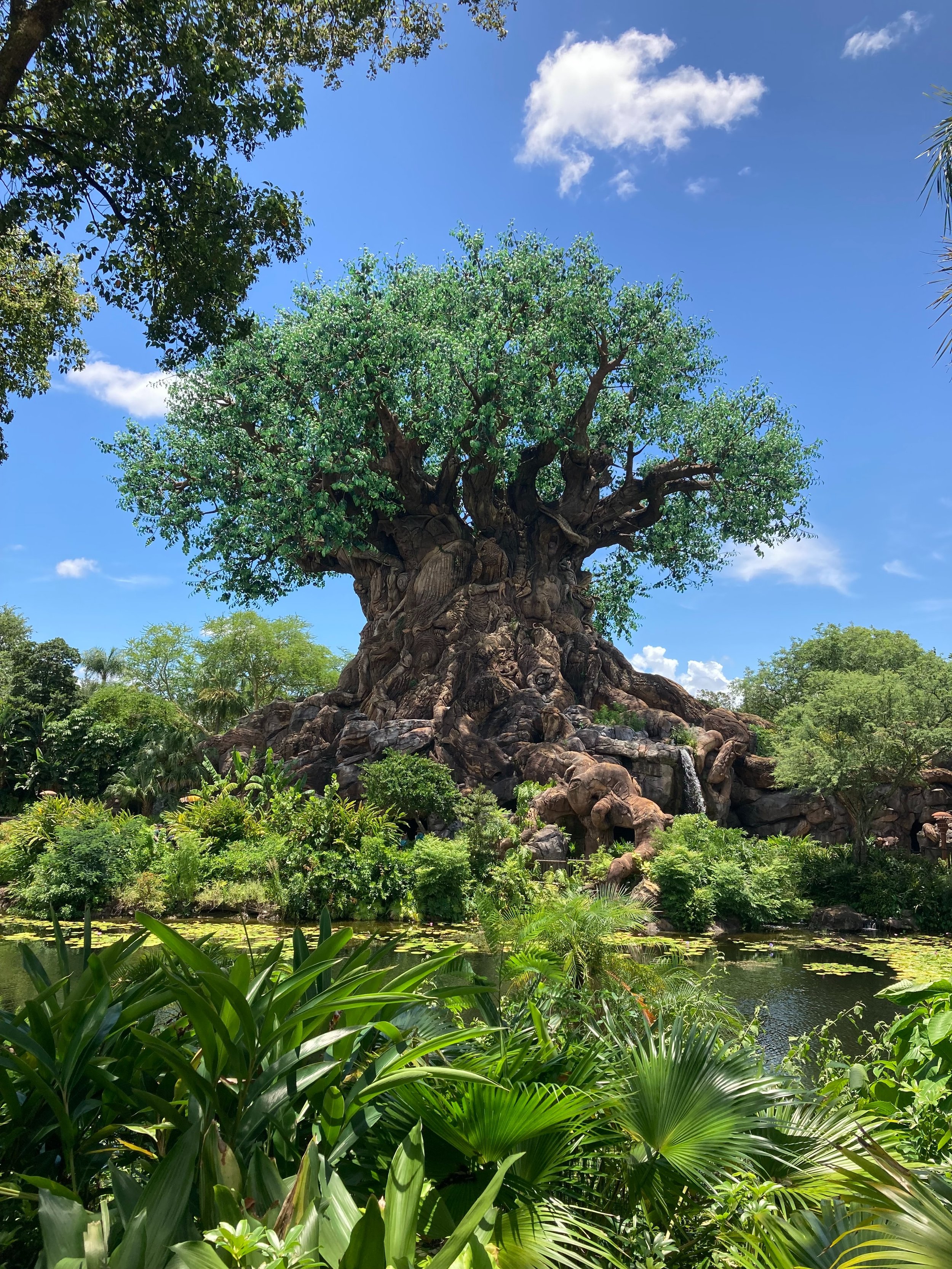 Overview of Disney's Animal Kingdom — Orlando Travel Guru