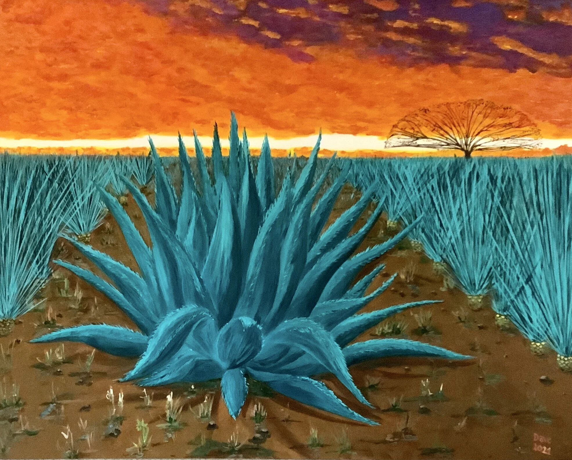 Tequila Sunrise.jpg
