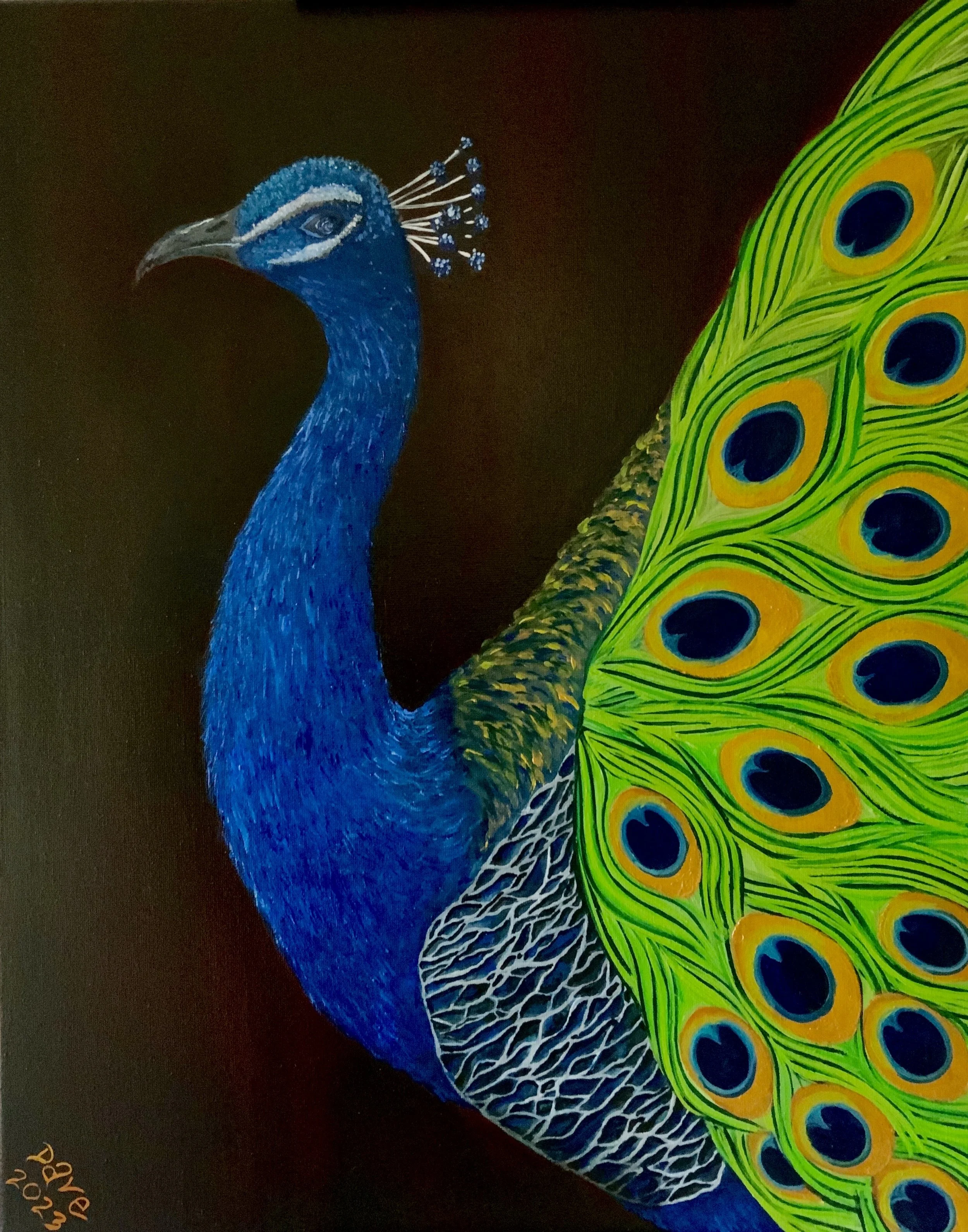 Peacock. Original oil on canvas 16x24”. 