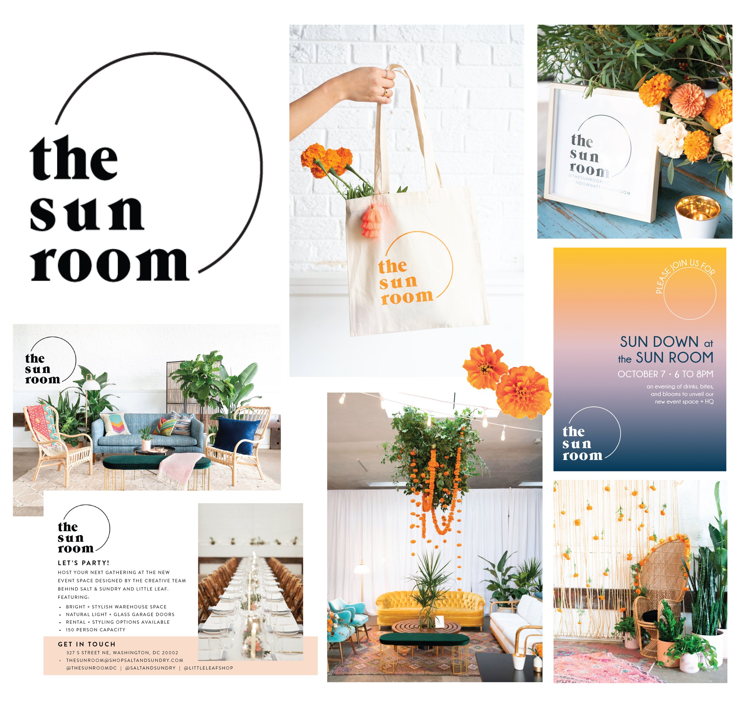 sun room branding-01.jpg