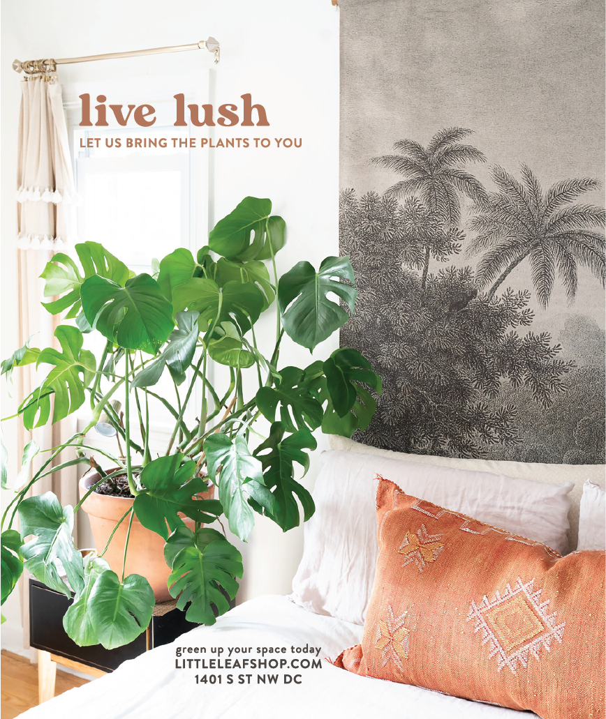 live lush.png