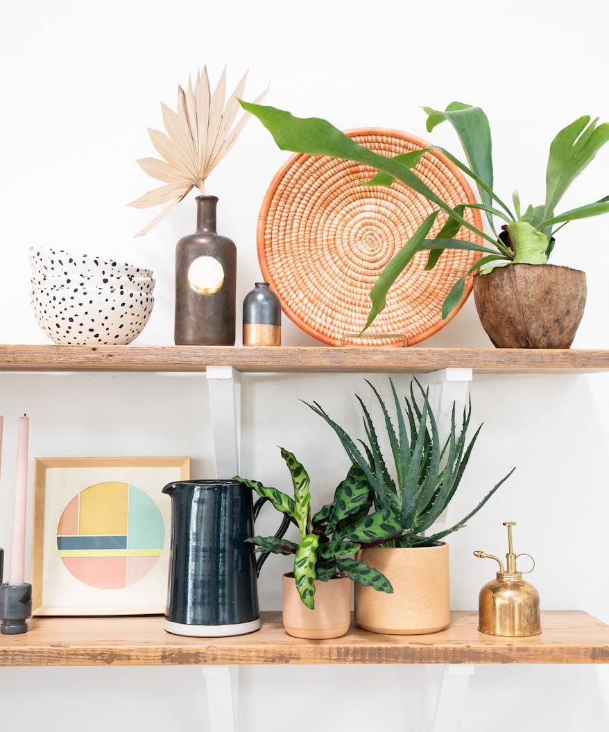 shelfie.png