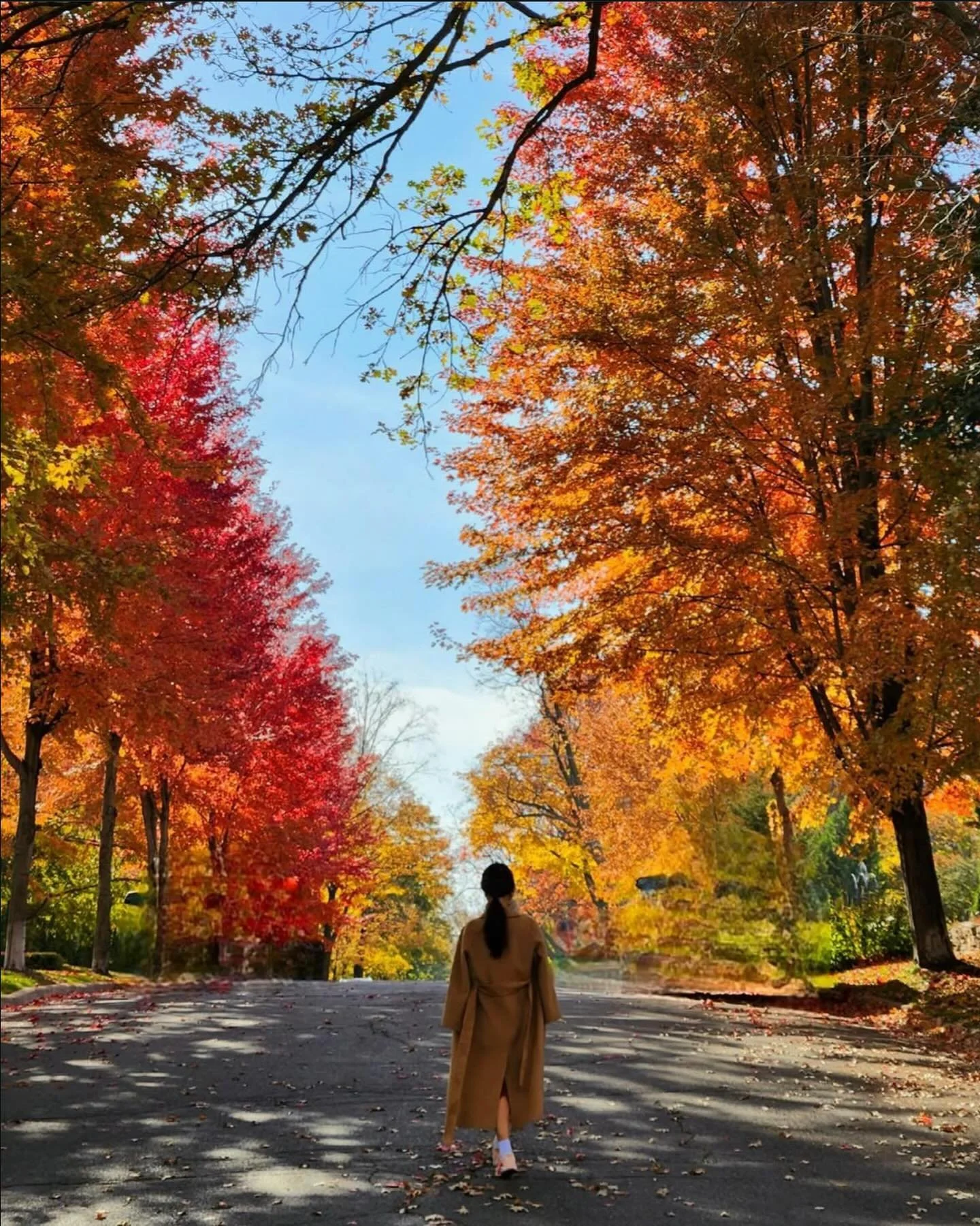 🥶🥶Saying goodbye to fall.❄️❄️
📸 @ari.j.u