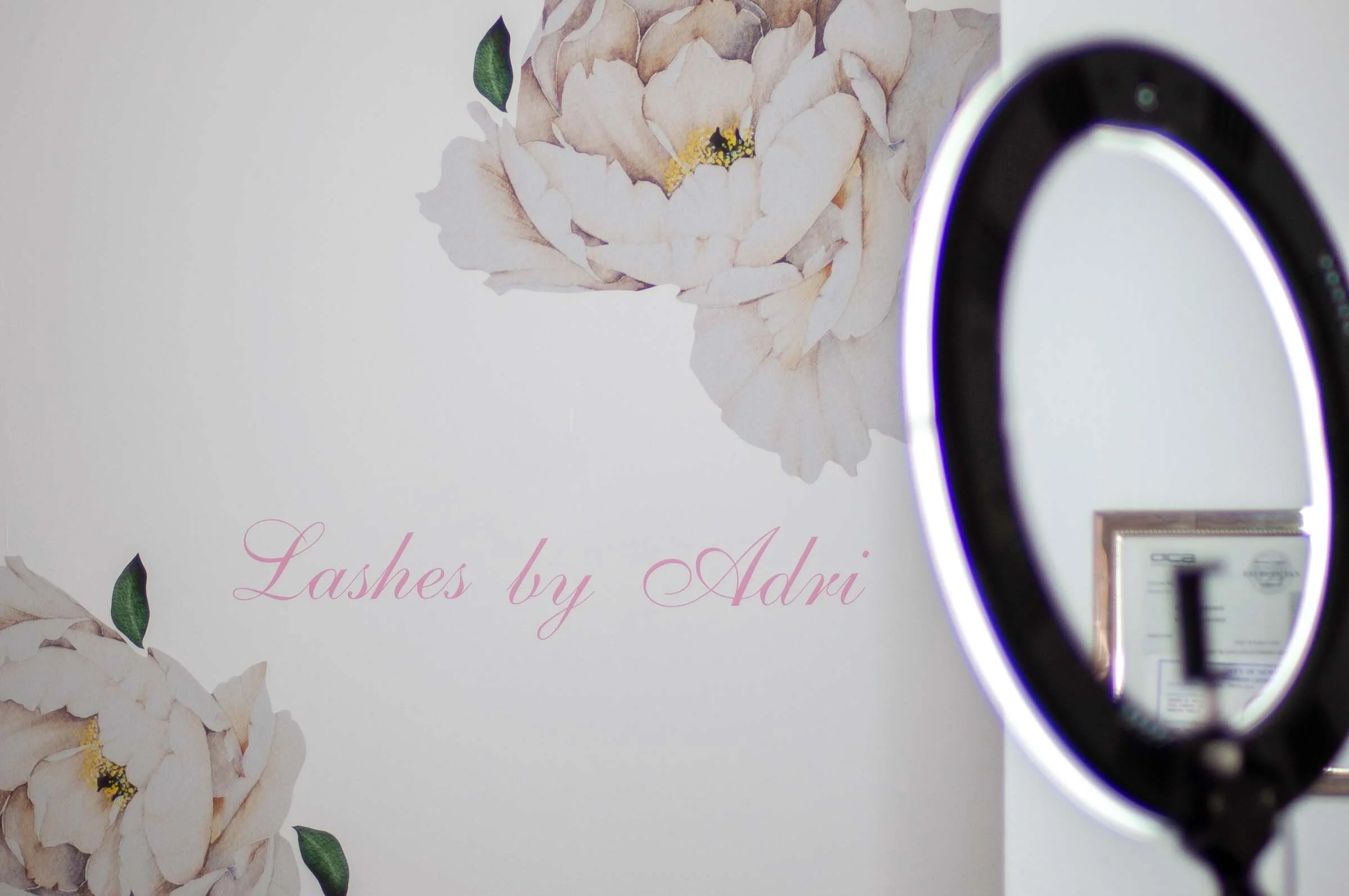 Lashes by Adri Beauty Brand Photography 2.jpg