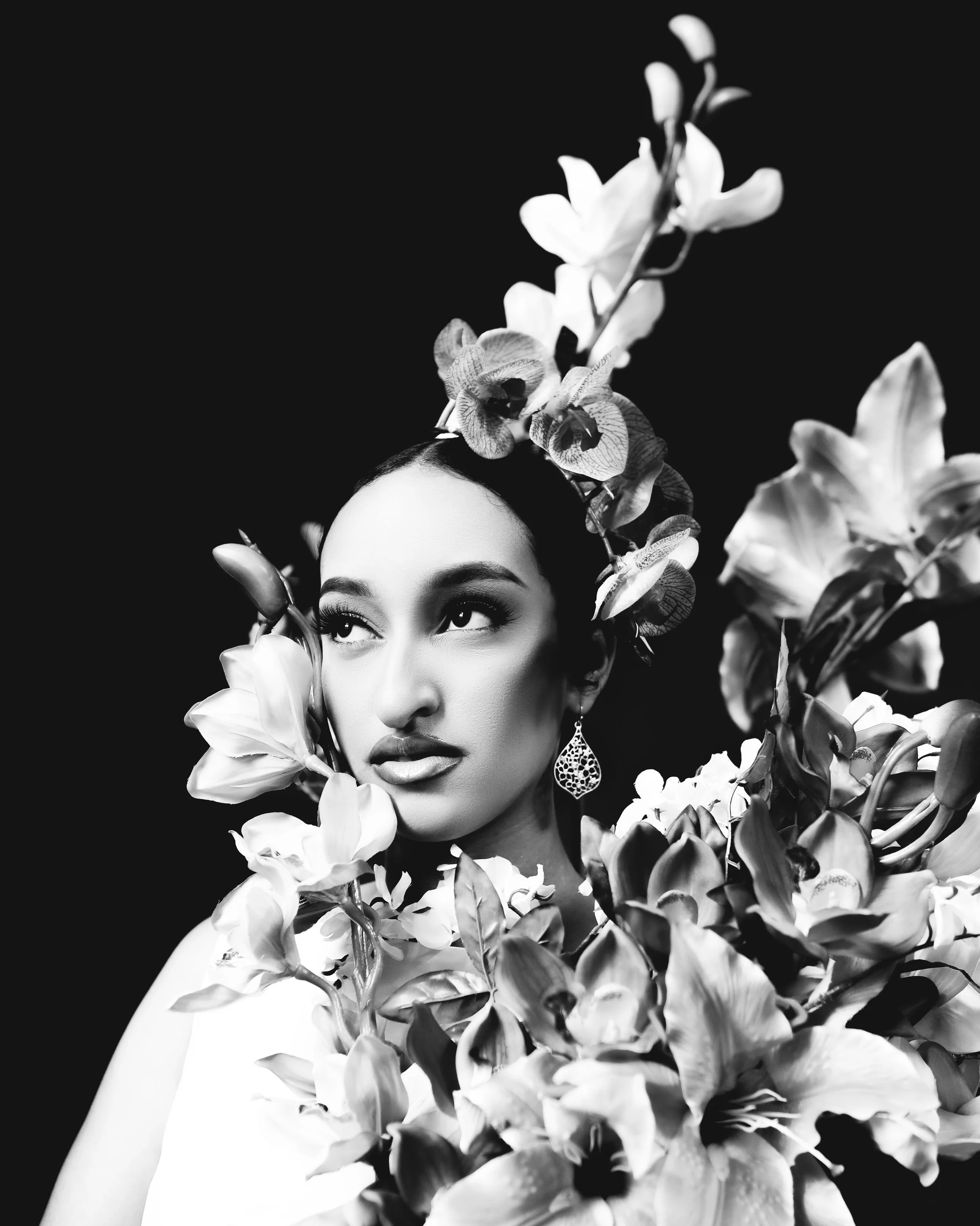 FLAMENCO, 2025