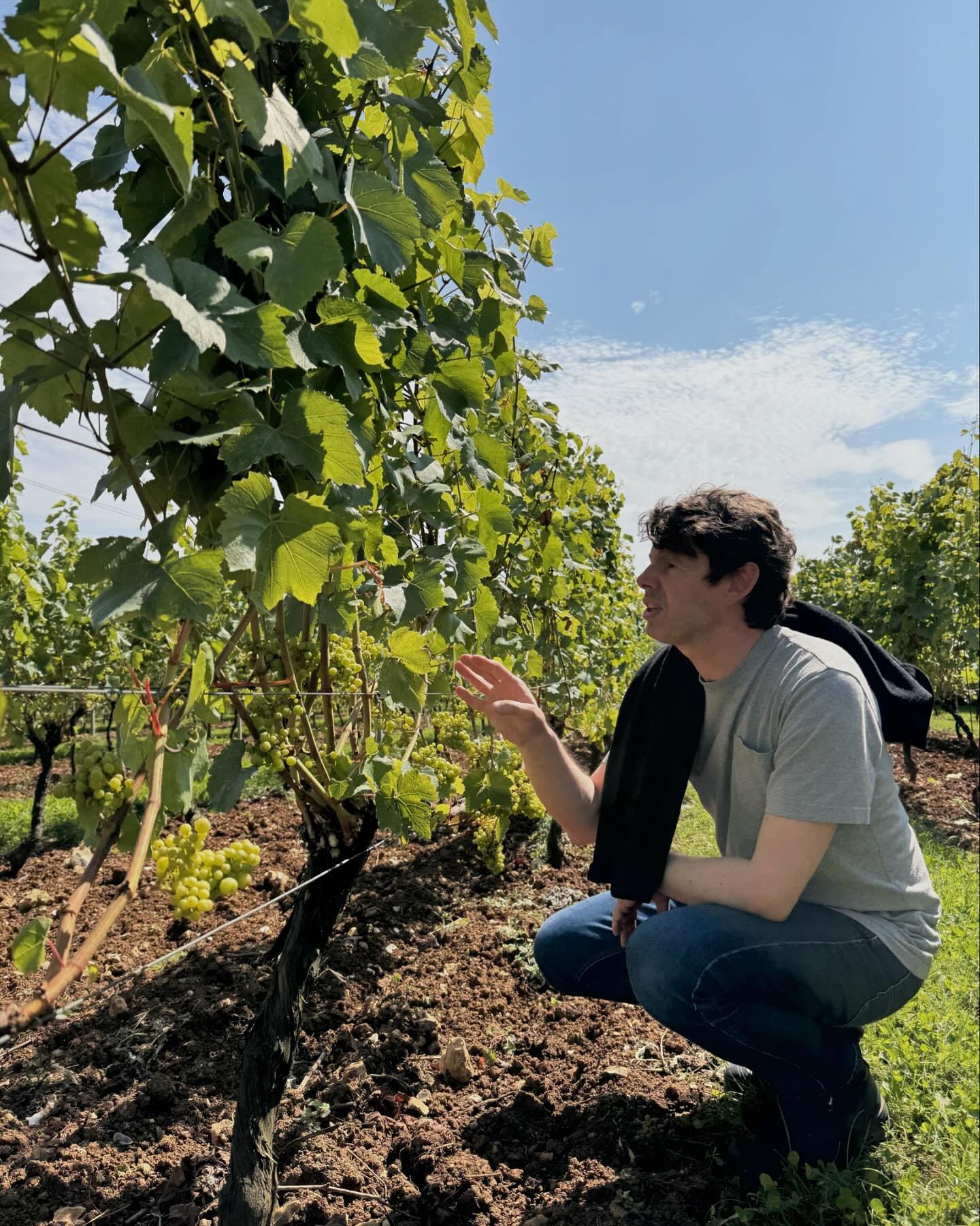 Amber and friends went to @hattingleywines last week and had a fun and educational tour from the winemaker, Rob. He&rsquo;s doing excellent things and tweaking an already solid English sparkling brand. #hattingley #winegb #englishsparkling #robsthebe
