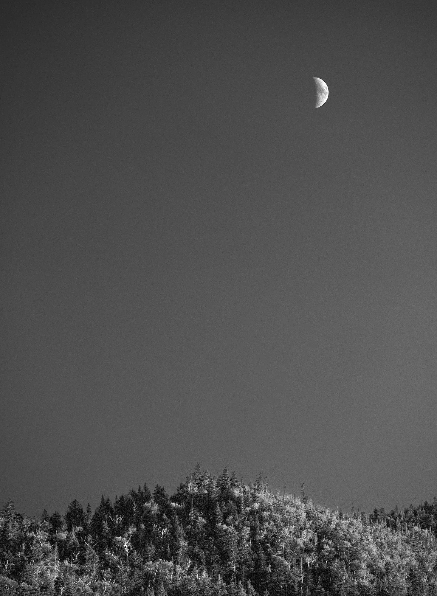 Fish Hawk Cliffs, New York II • 2022 • film