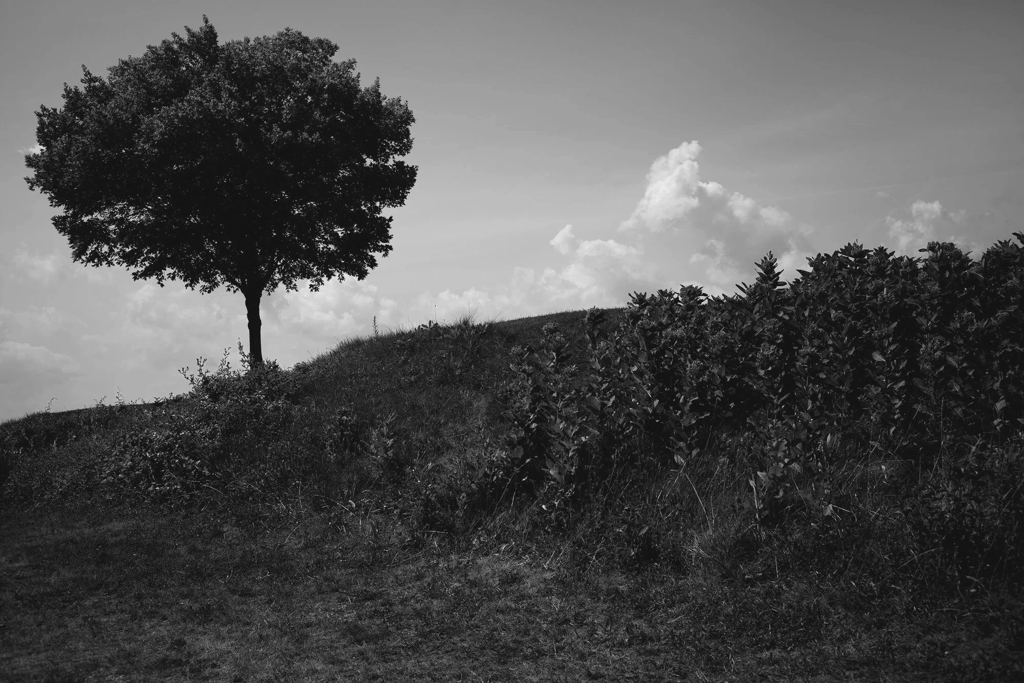 Biddeford, Maine IV • 2025 • digital