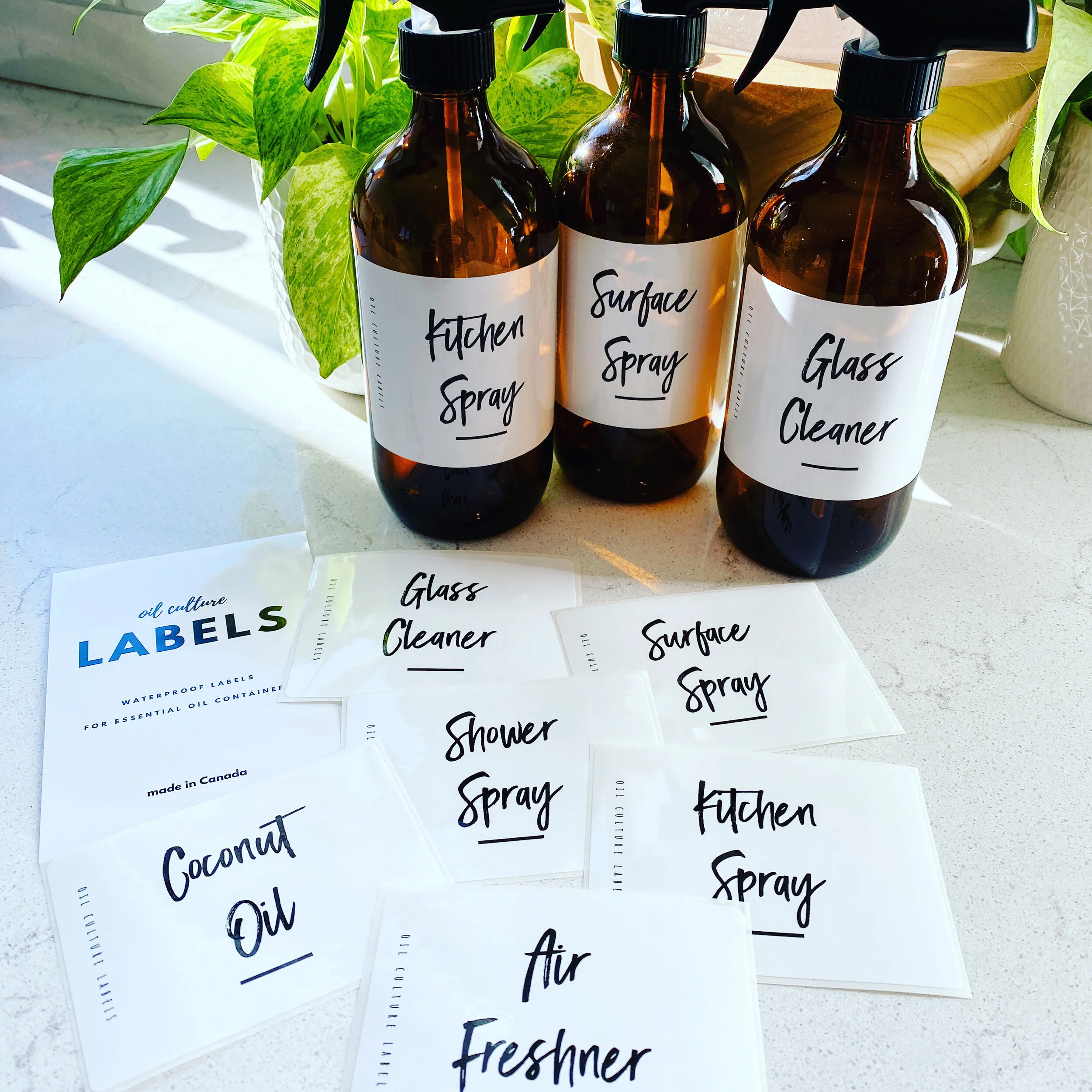 Online Cleaning with Essential Oils Class