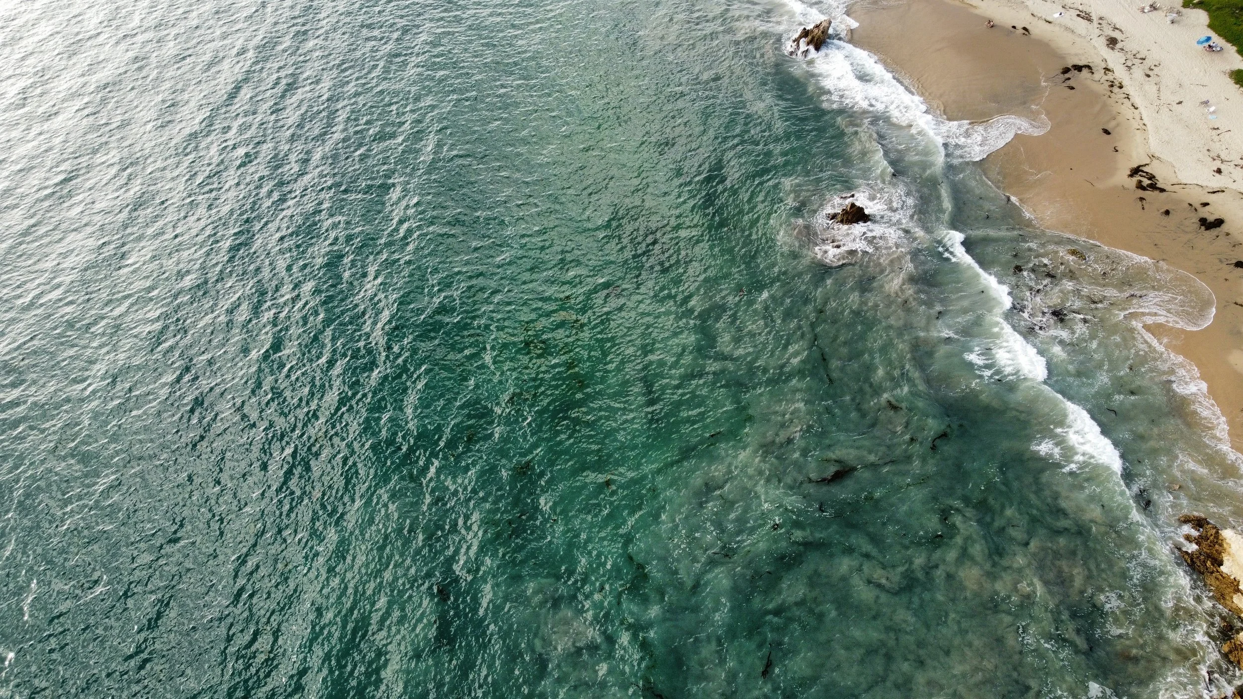 dji_fly_20231022_154144_497_1698014603720_photo_optimized.jpg