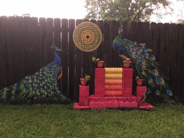 Peacocks