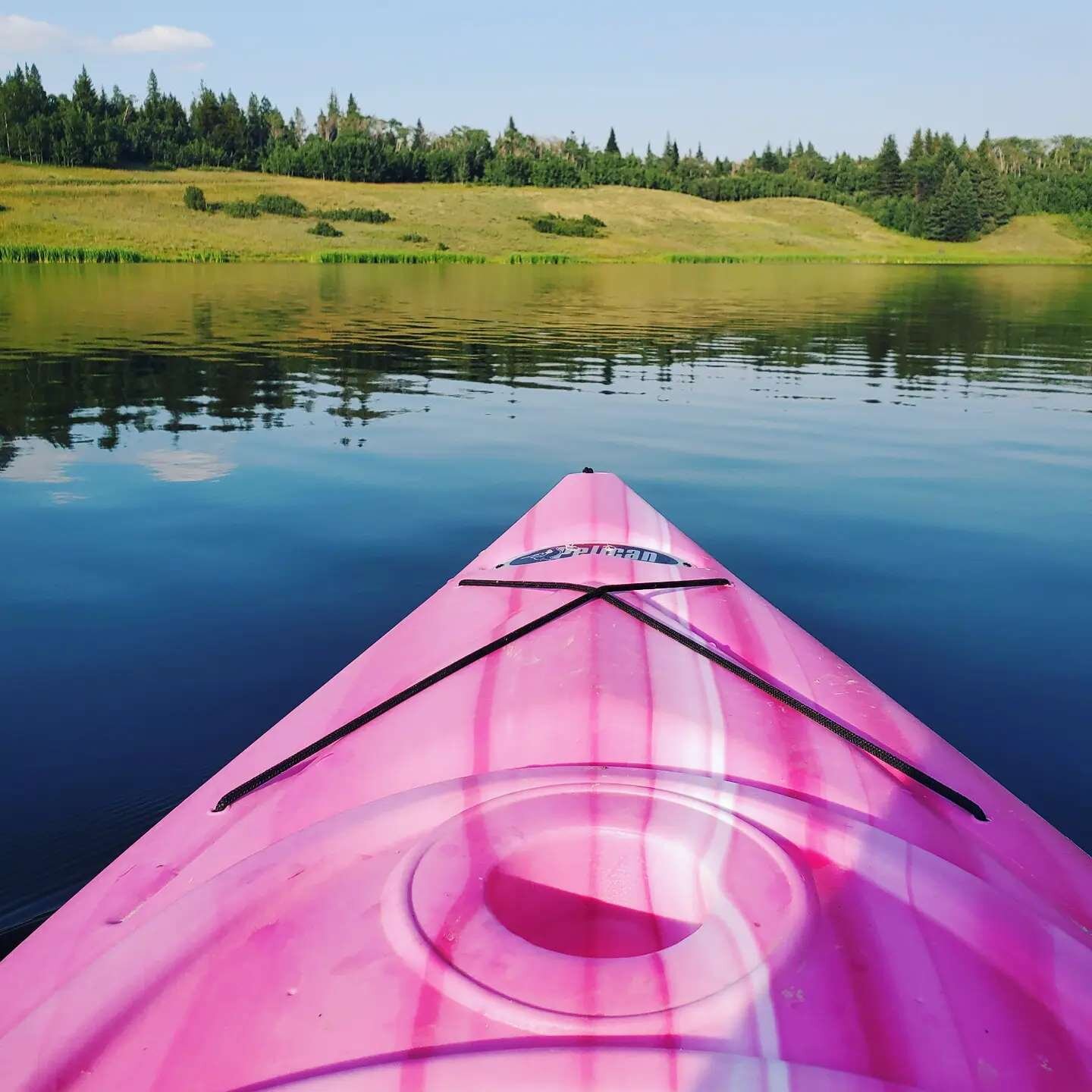 Spruce Coulee is one of our favorite places to kayak. Beautiful and calm!

#KayakMedicineHat #GetOutside #GetOffTheCouch #MyMHSummer#MedicineHat you