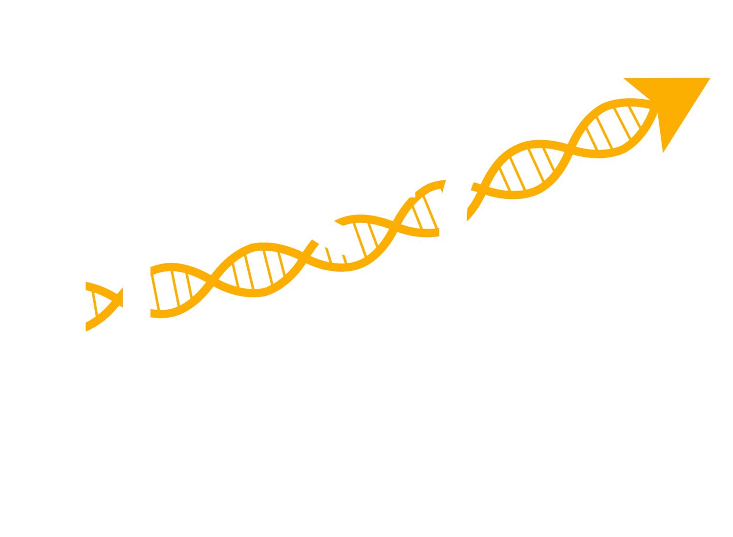 DSO Consulting LLC