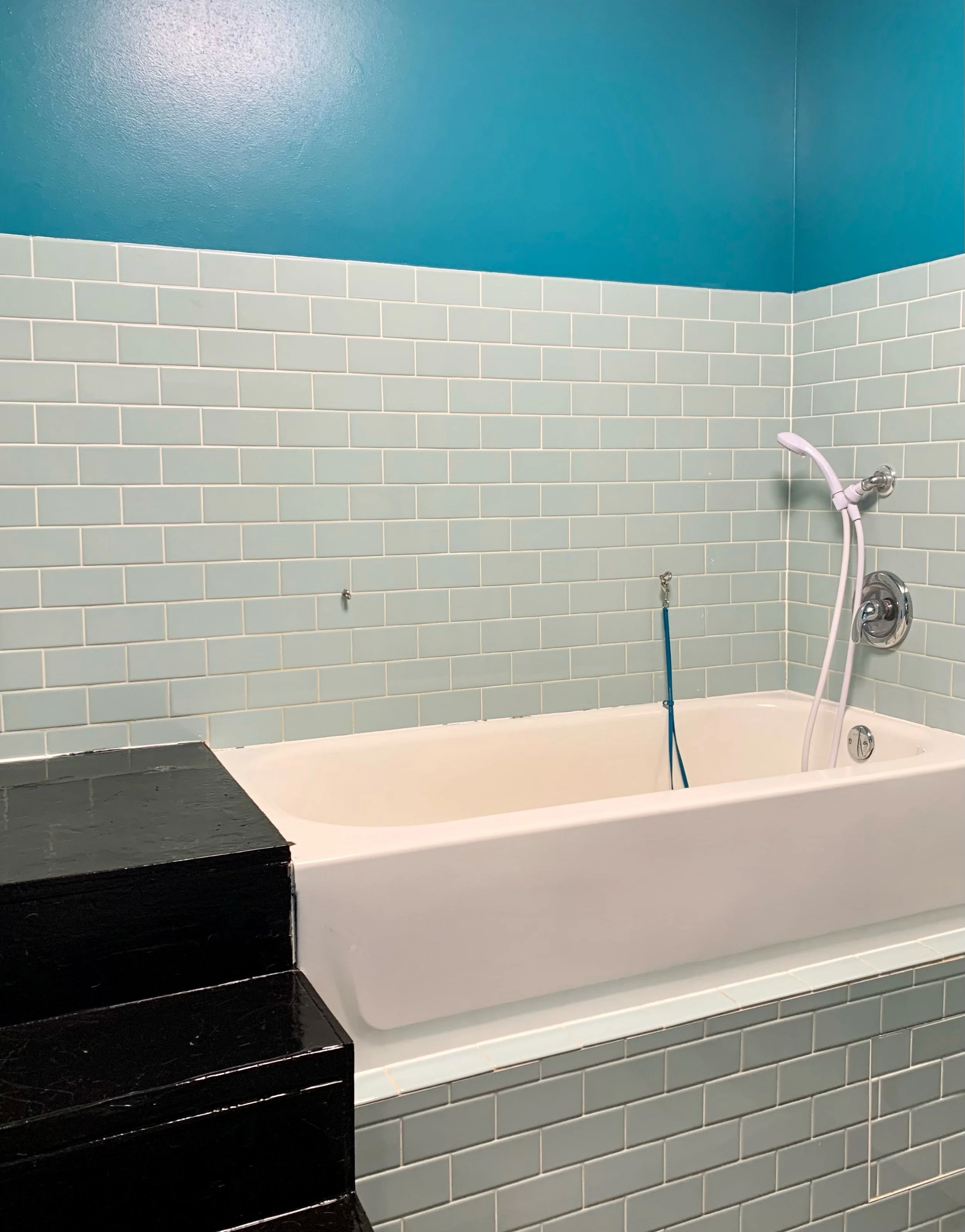 Dog wash elevated bathtub