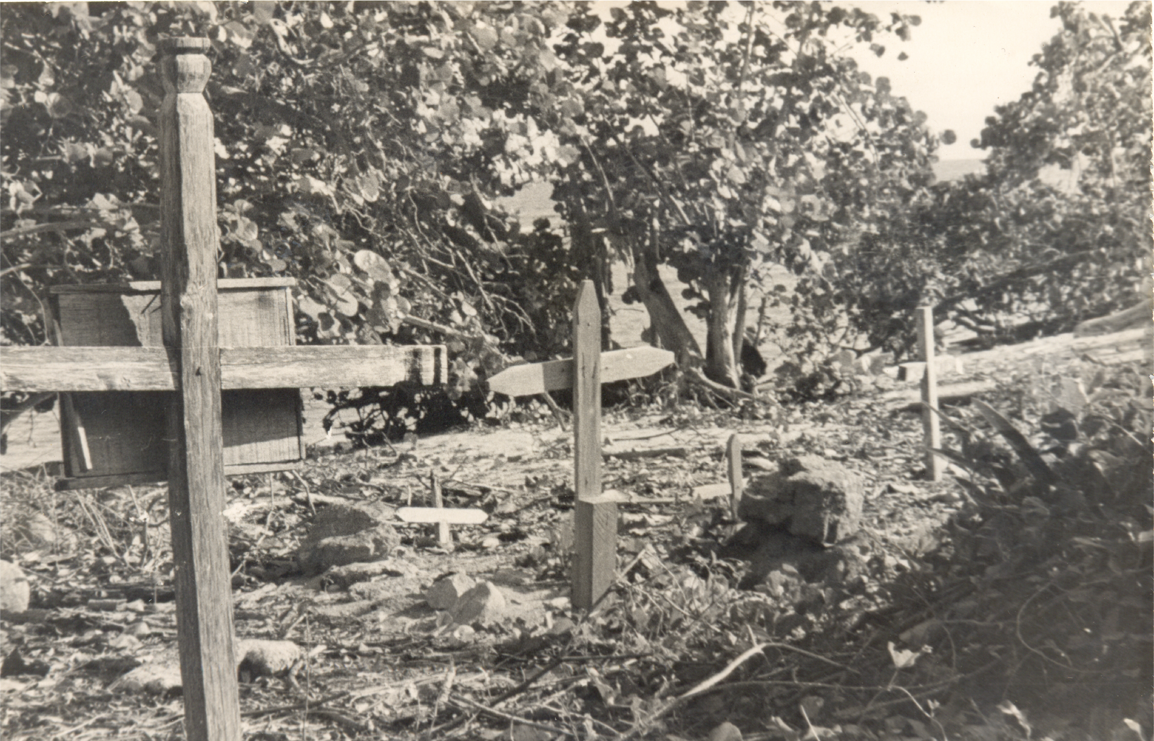 Crosses in Chivirico, Guantánamo Province mark where rural patients died en route to seeking medical  care (1958). 