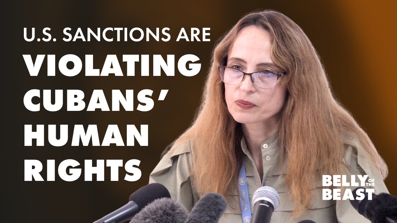 Alena Douhan, the UN Special Rapporteur on the Negative Impact of Unilateral Coercive Measures on Human Rights