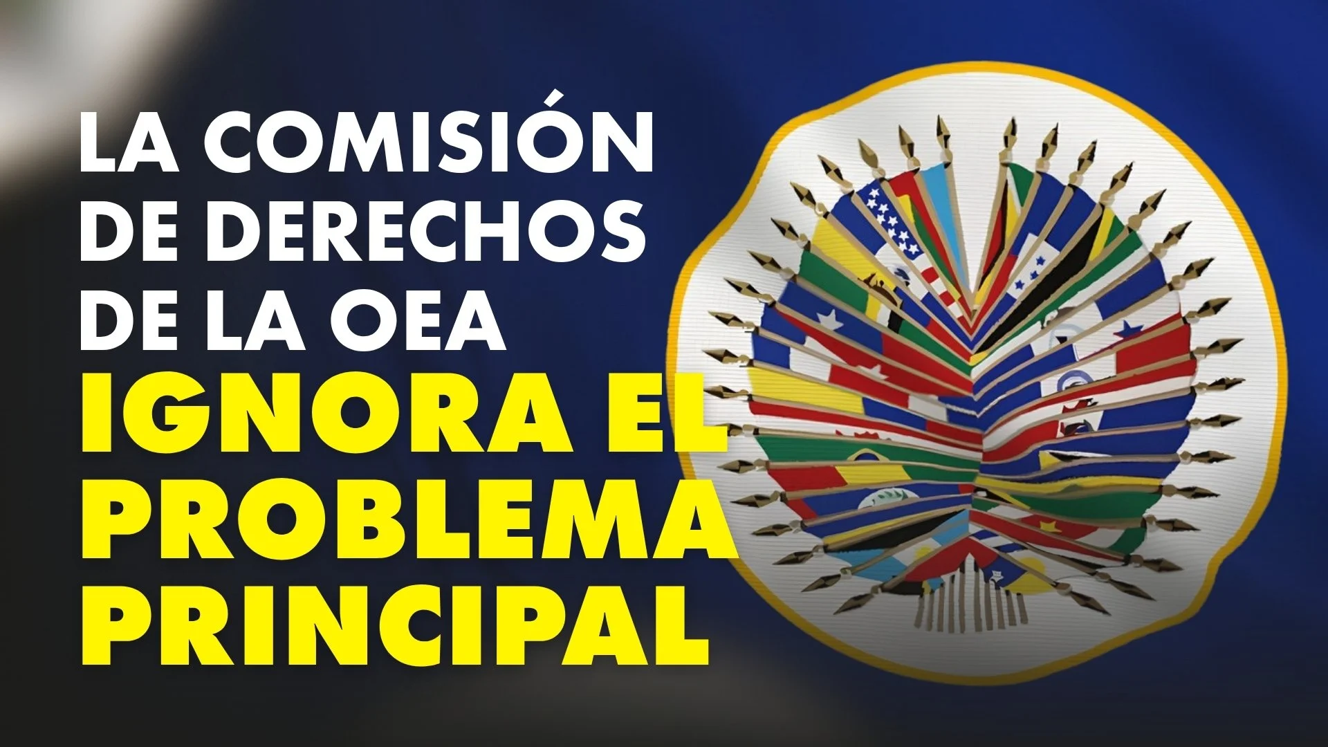 OEA flag