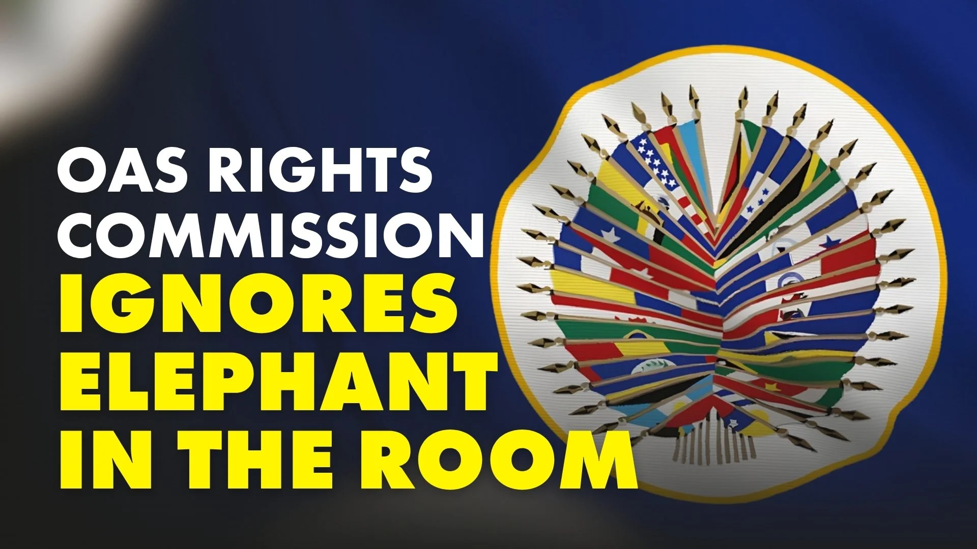 OAS Rights flag
