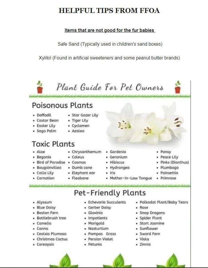 Resources — FFOA Fayette Friends of Animals