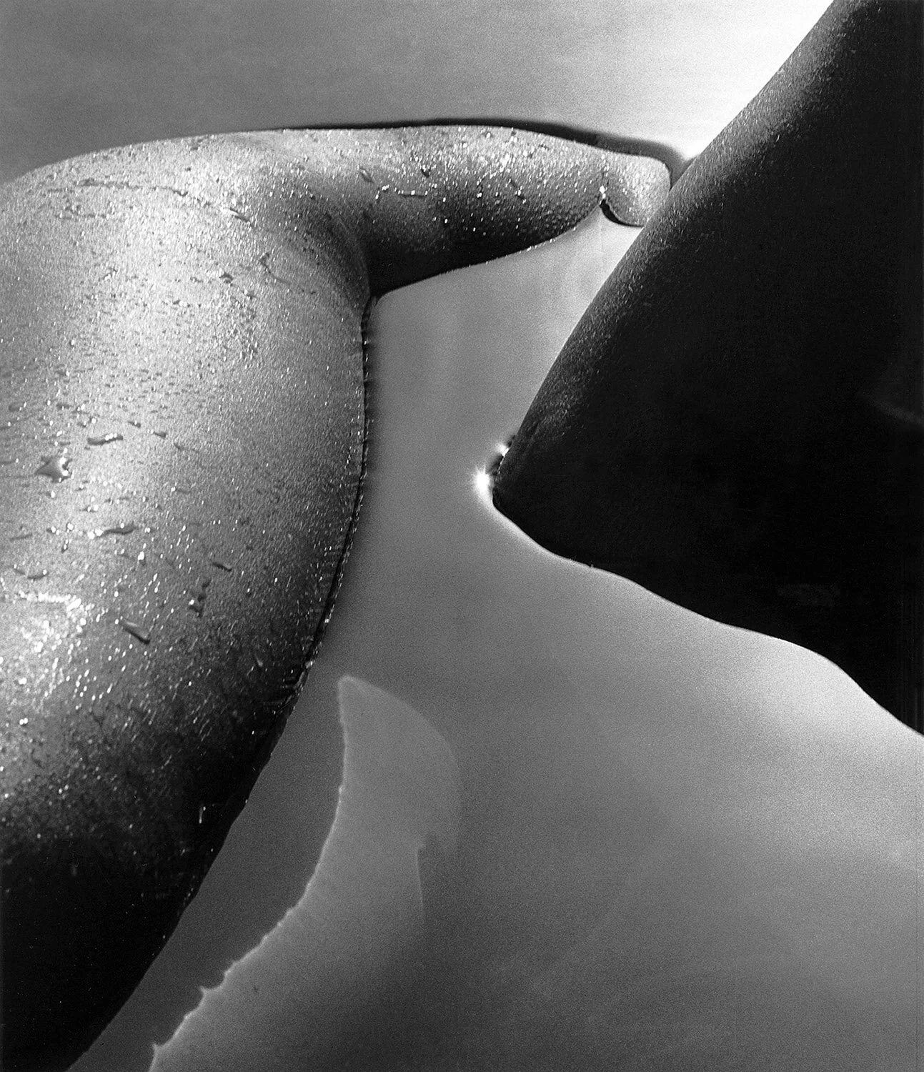 Abstract Nude 1980.jpg