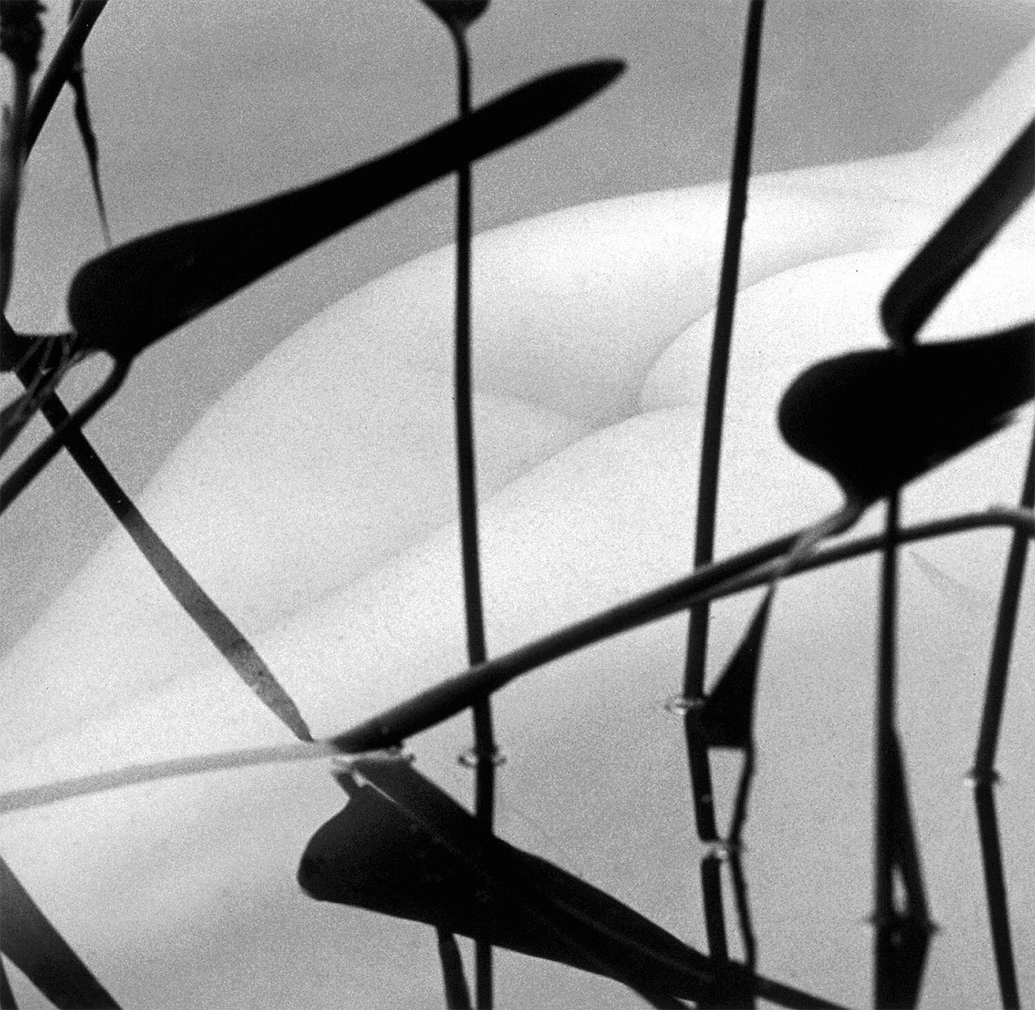 Nude Underwater 1989.jpg