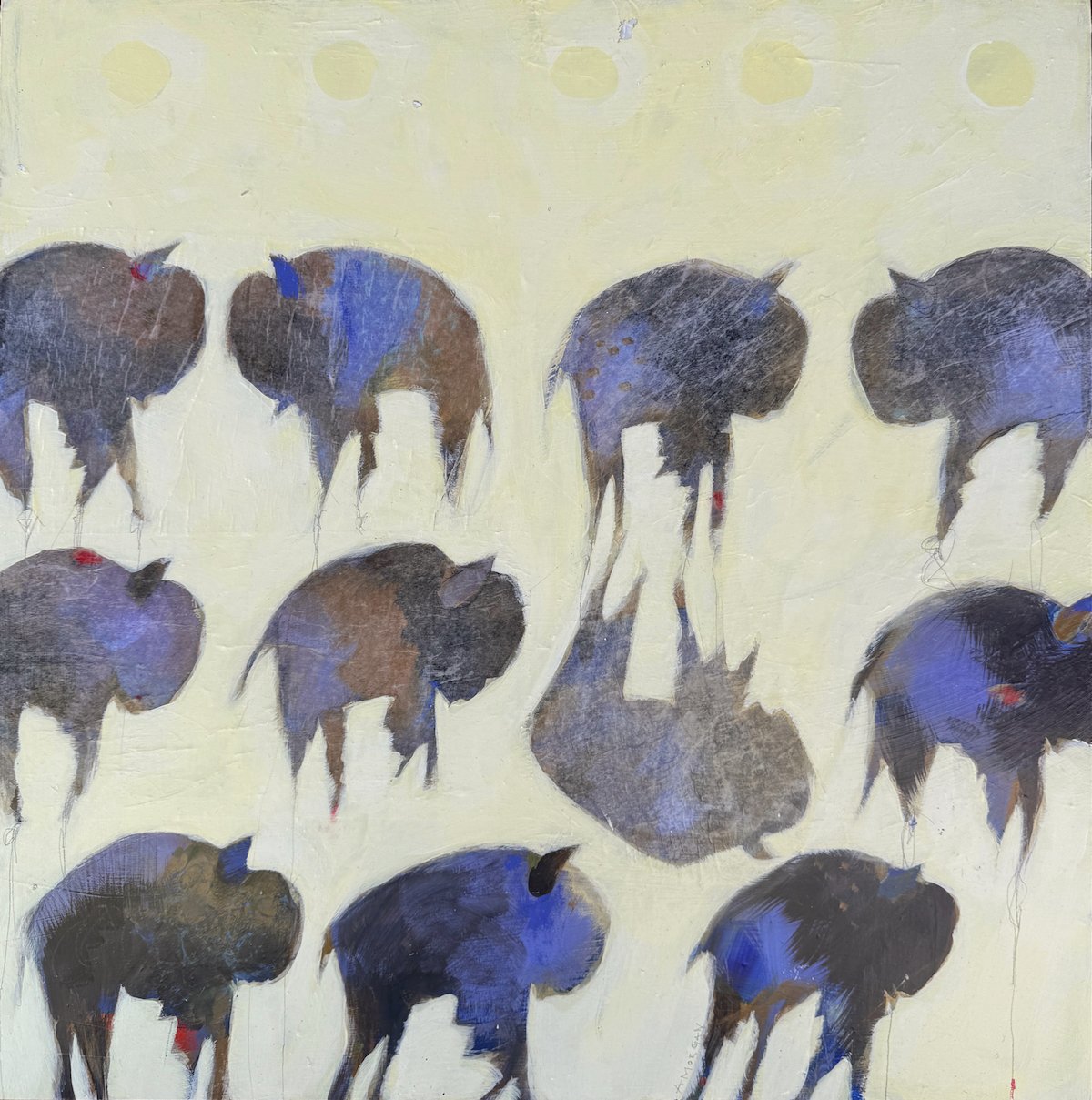 Bison Eleven