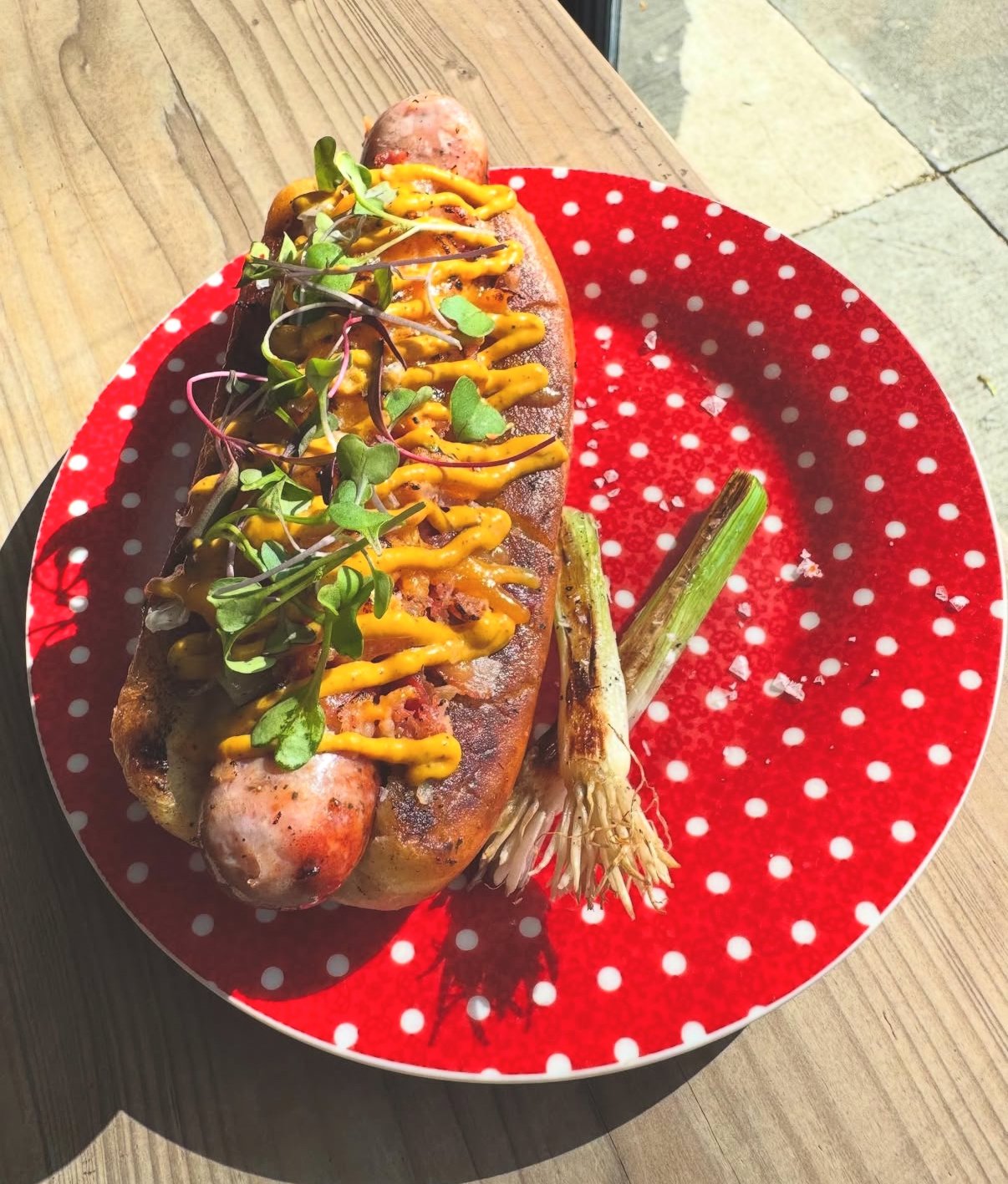 PROVECHO HOT DOG POP UP x DJ TANNER!