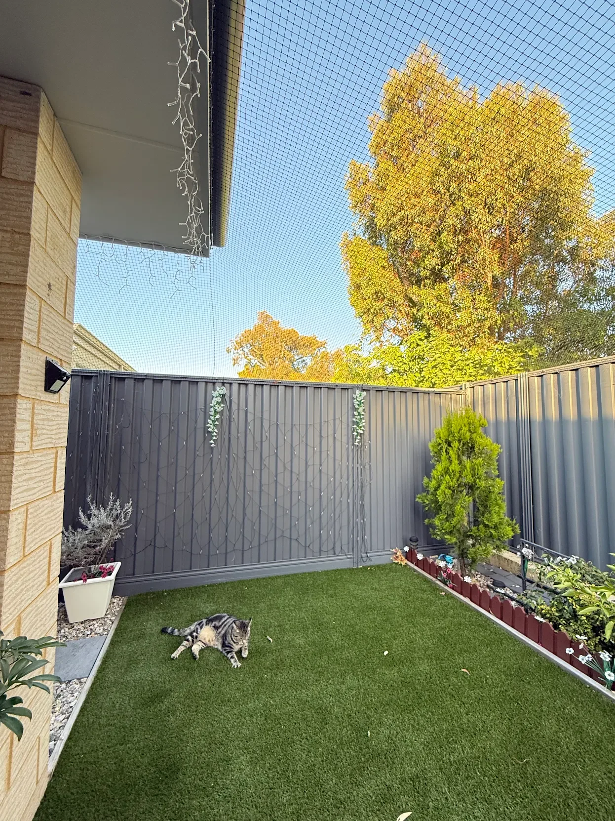 Cat net cat enclosure Wellard Parmelia Success Bibra Lake Canning Vale cat netting catio 