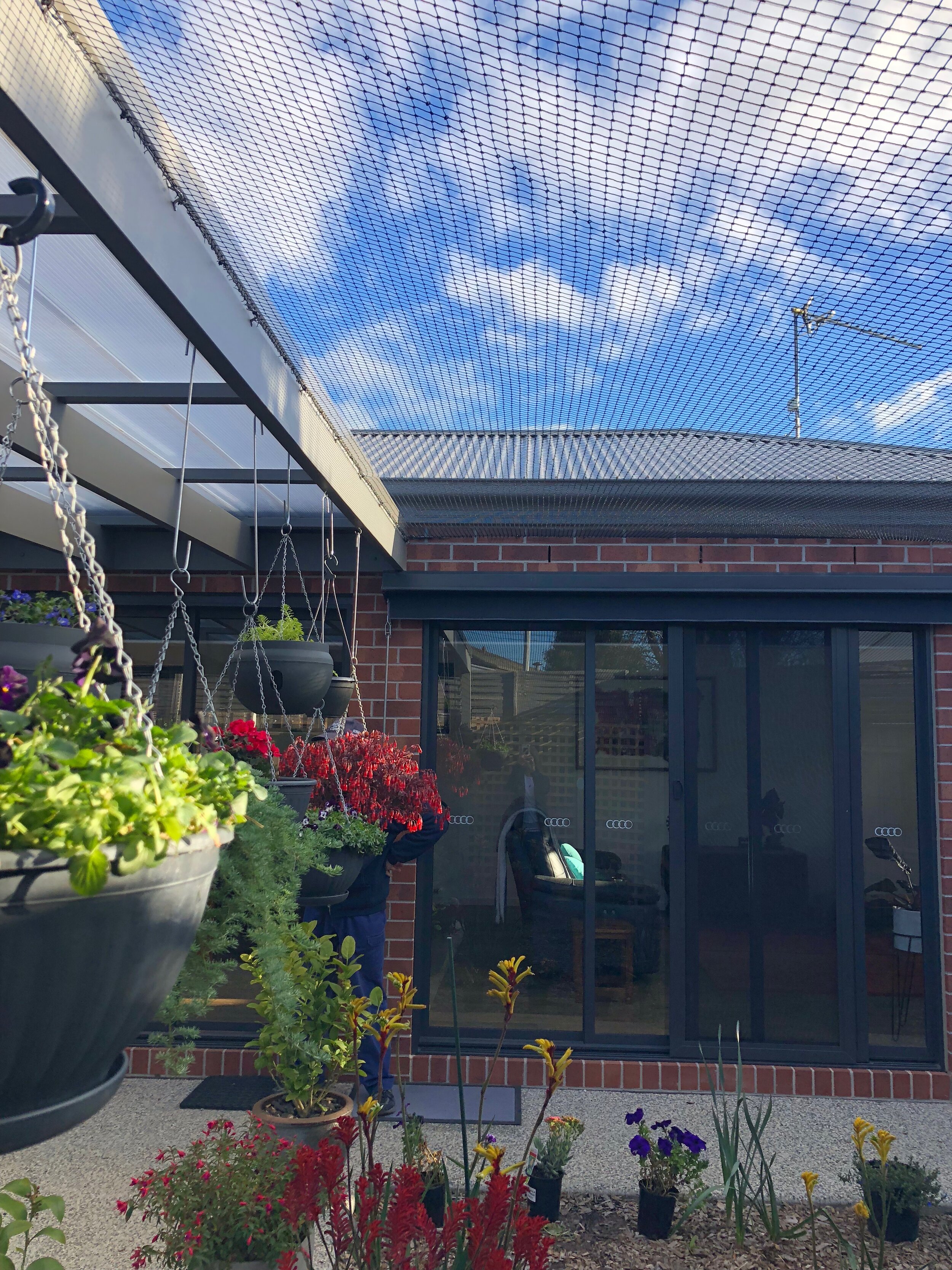 Cat Enclosures — Pet Nets WA