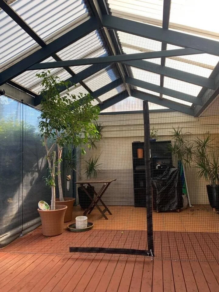 Cat Enclosures — Pet Nets WA